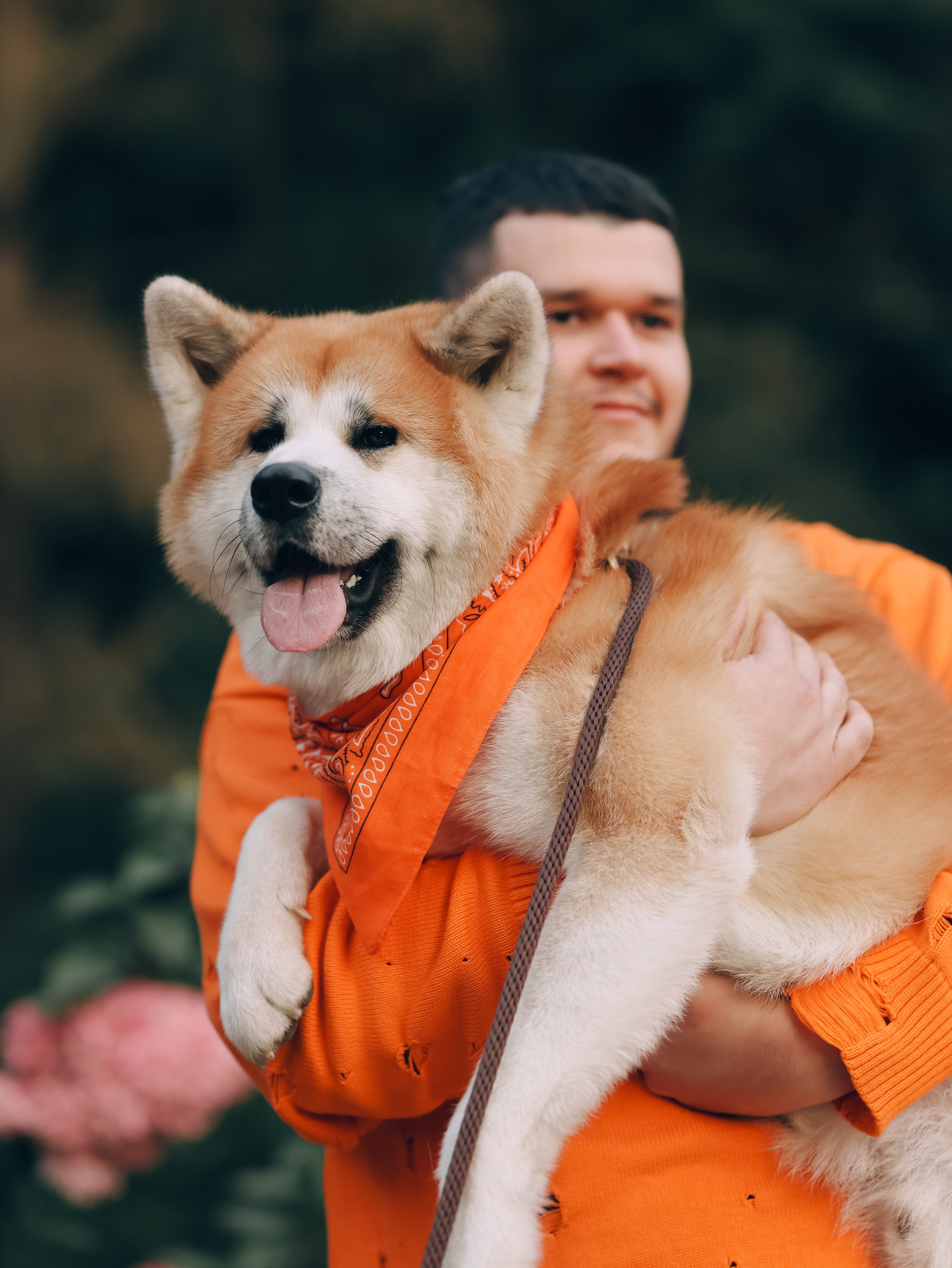 Гранд, Вика и Степан. Фотограф-анималист в Москве Кириллова Татьяна