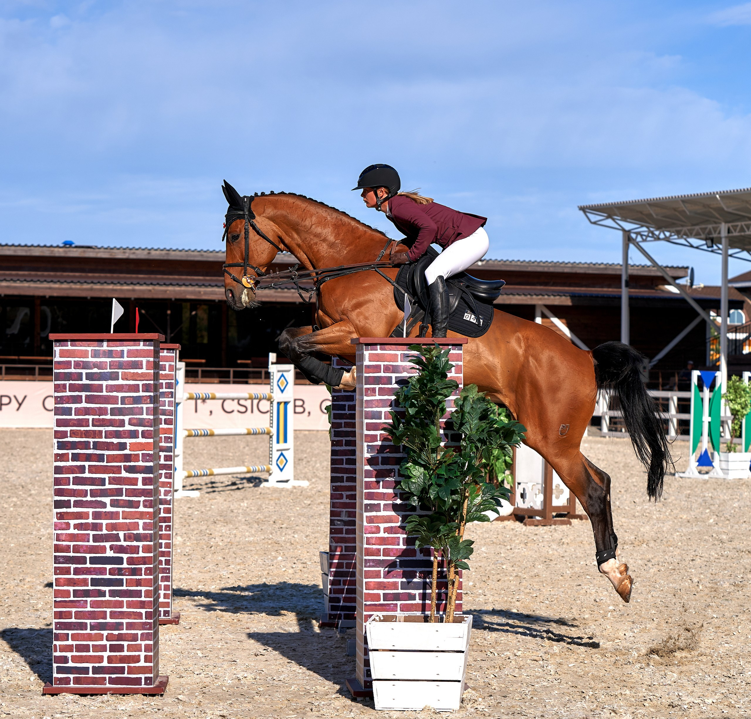 Соревнования на лошадях — галерея NATRIEL