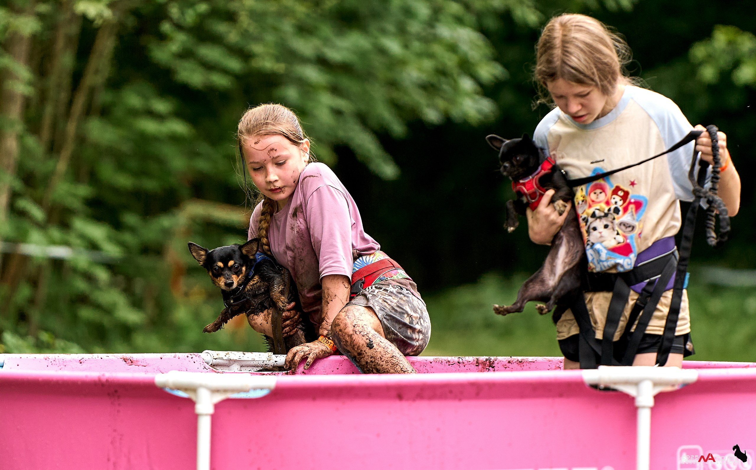 Russian Extreme Dog Trail — 2025