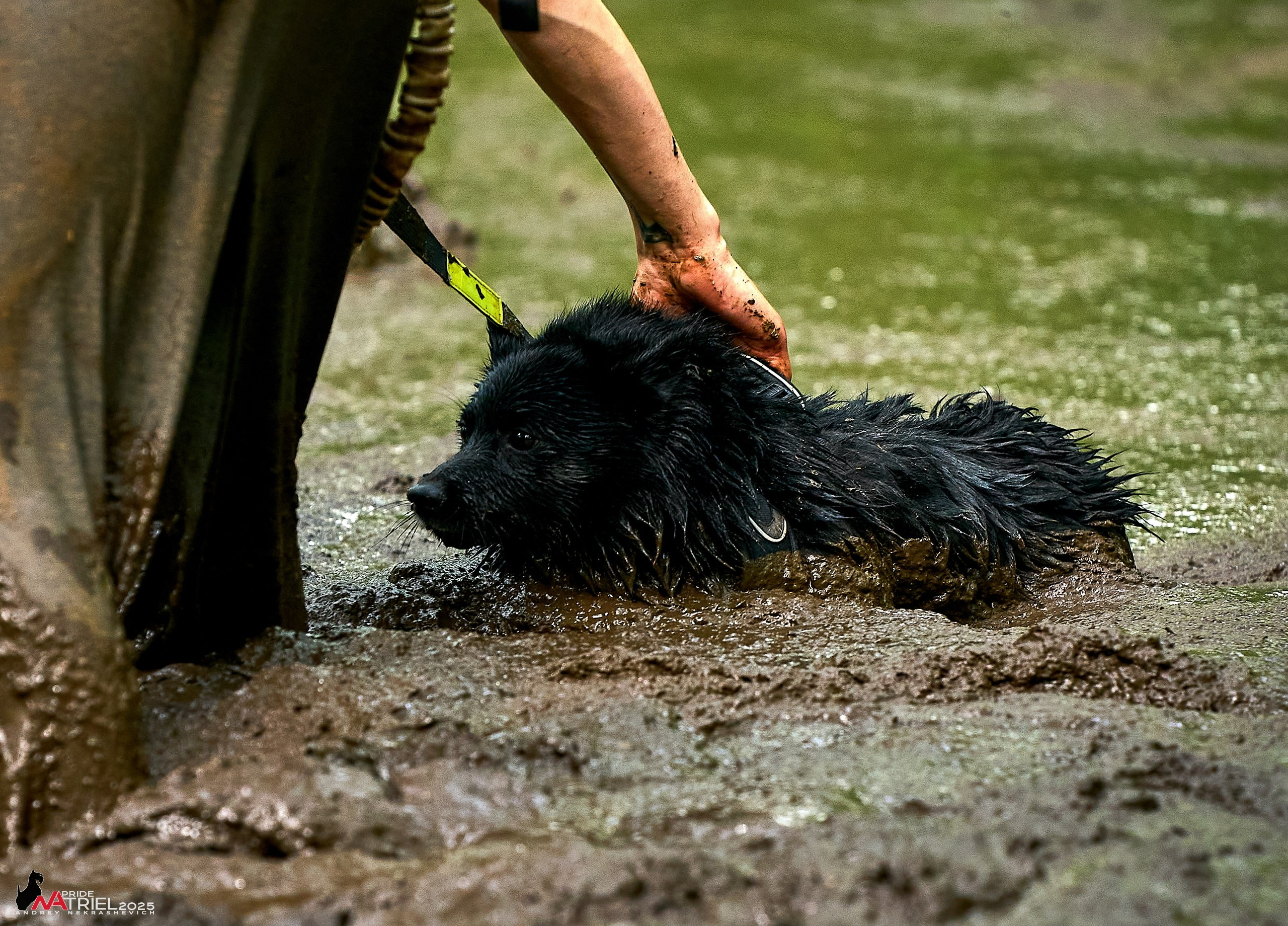 Russian Extreme Dog Trail — 2025