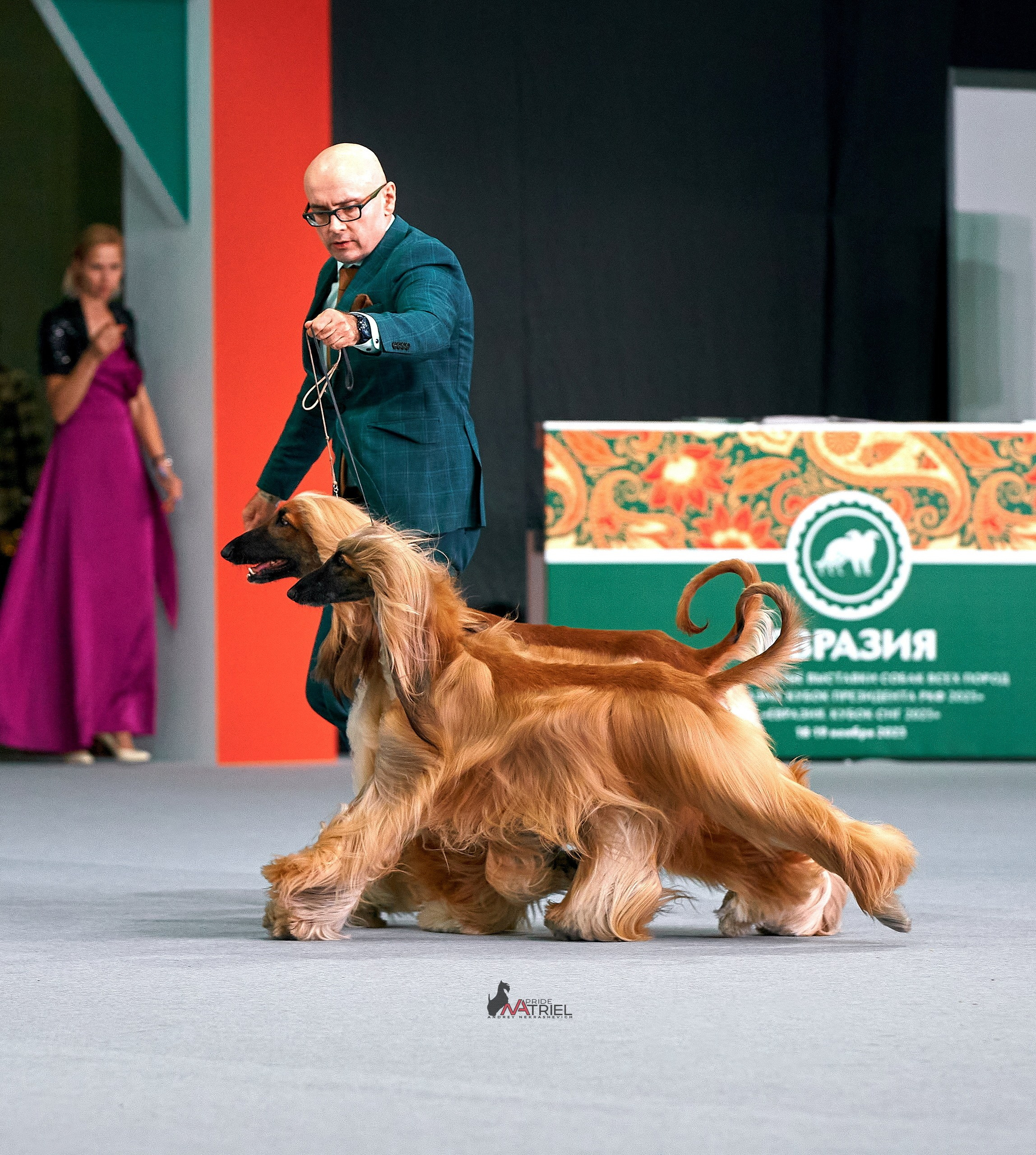 Работа в рингах — галерея NATRIEL