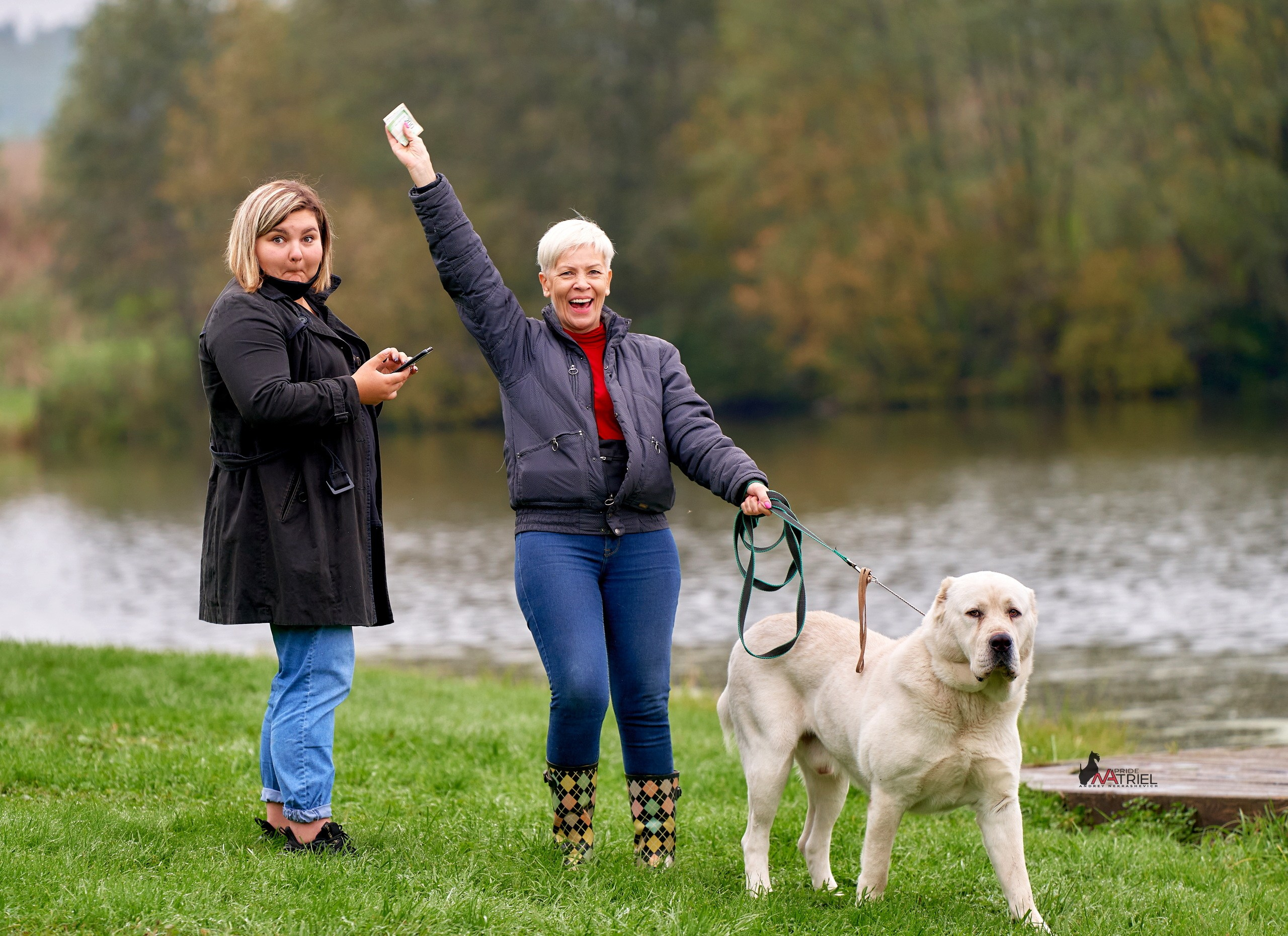 Призовые места — галерея NATRIEL