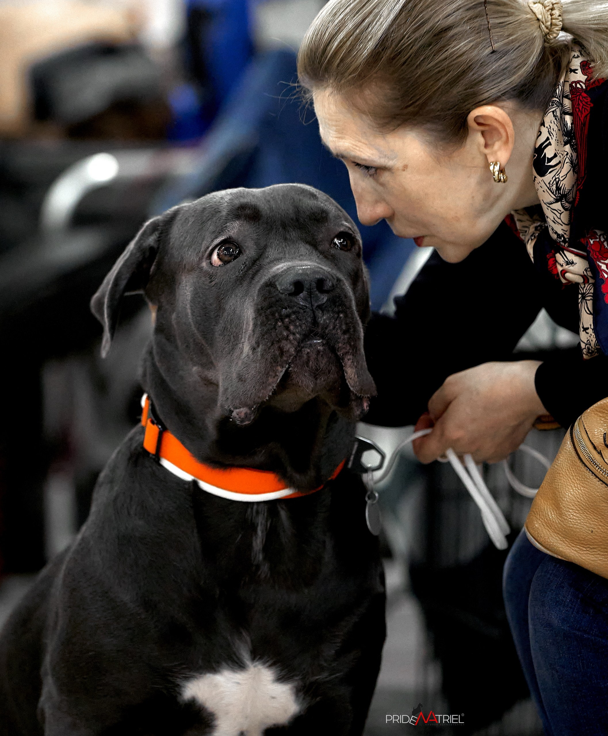 Картинки с выставки — галерея NATRIEL