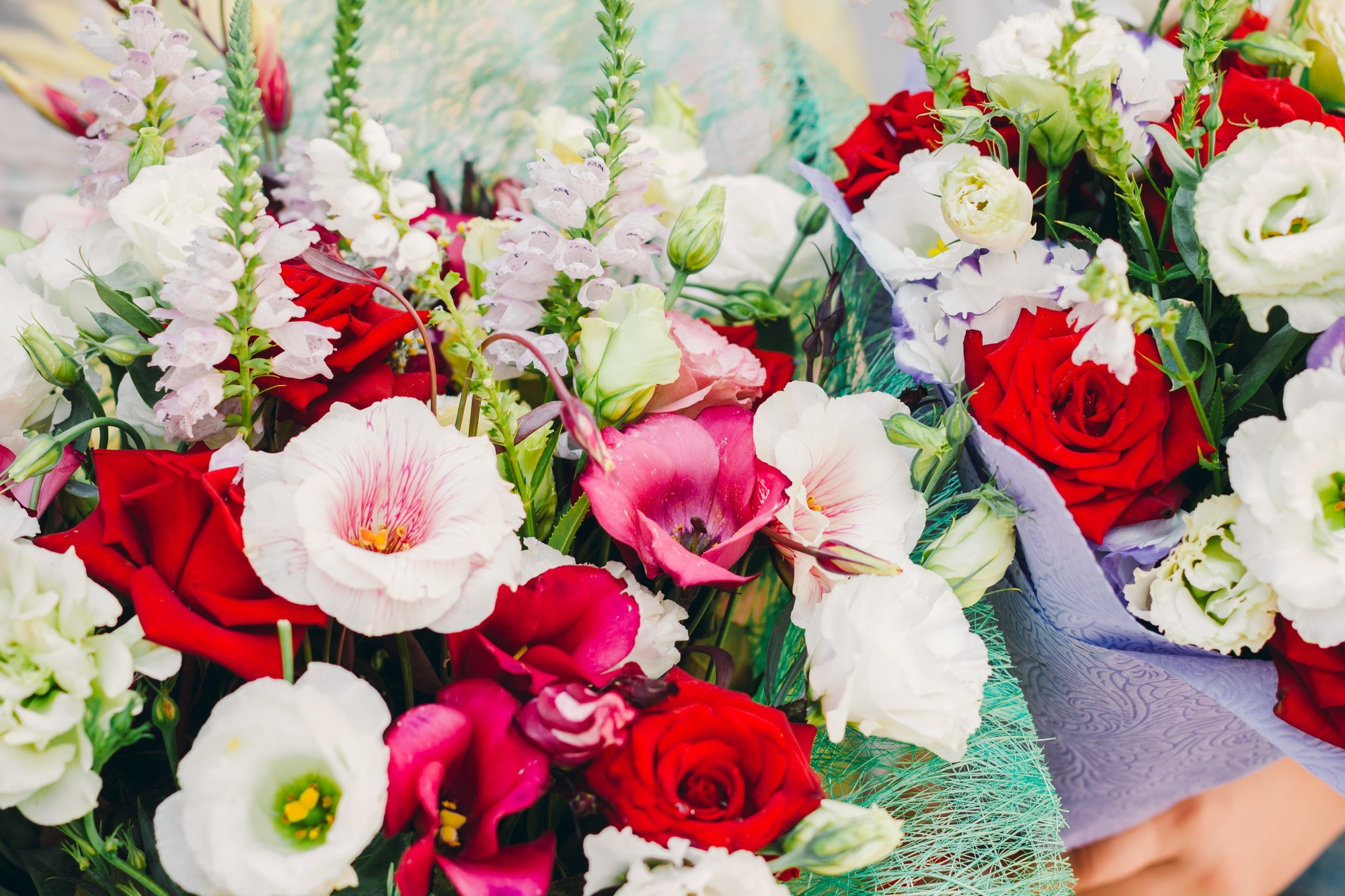 Выписка из роддома (ТЗР). Фотограф в Волгограде и Волжском Наталья Фирсова