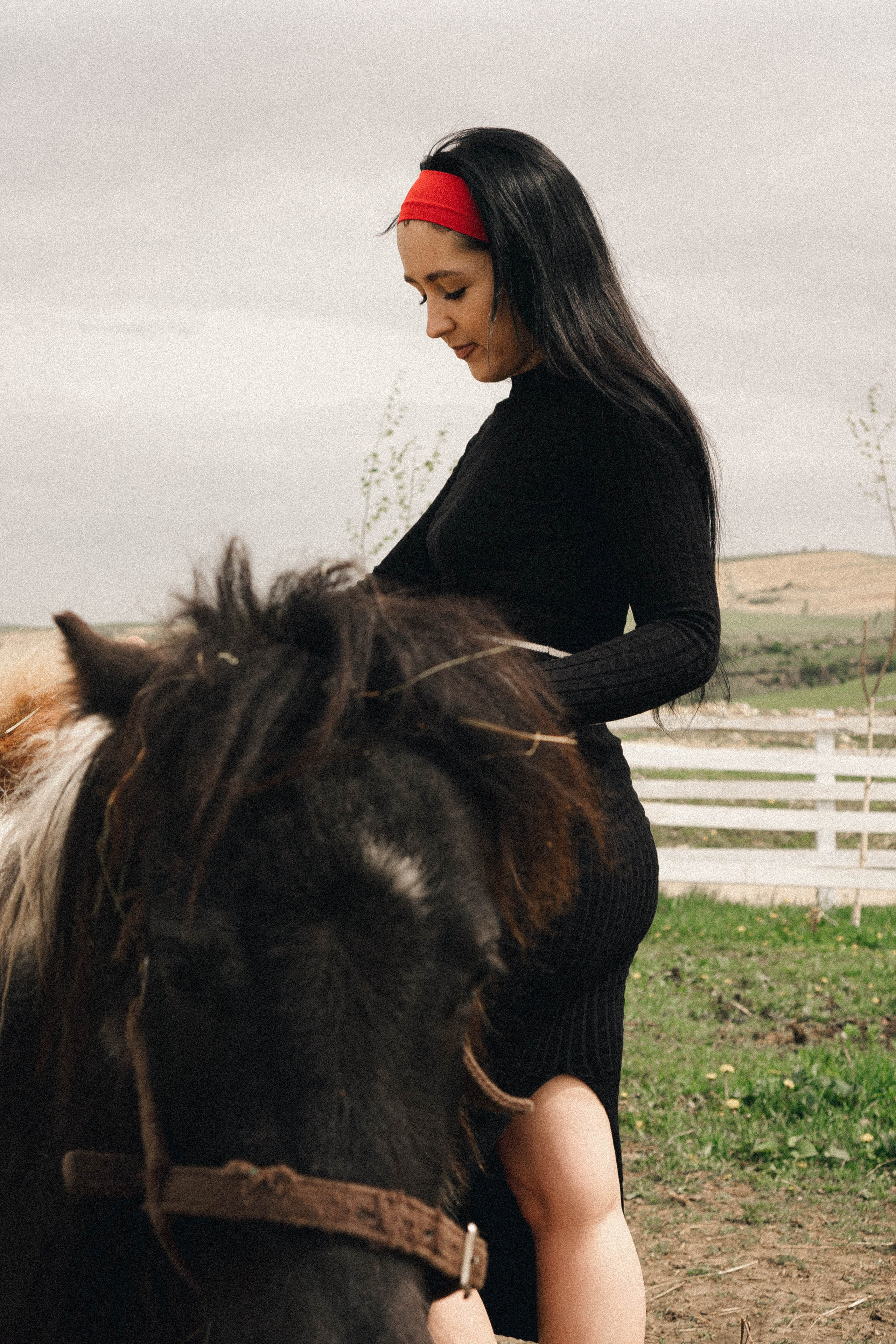 Ферма Альпак. Профессиональный фотограф, Санкт-Петербург — Виктория Богомолова
