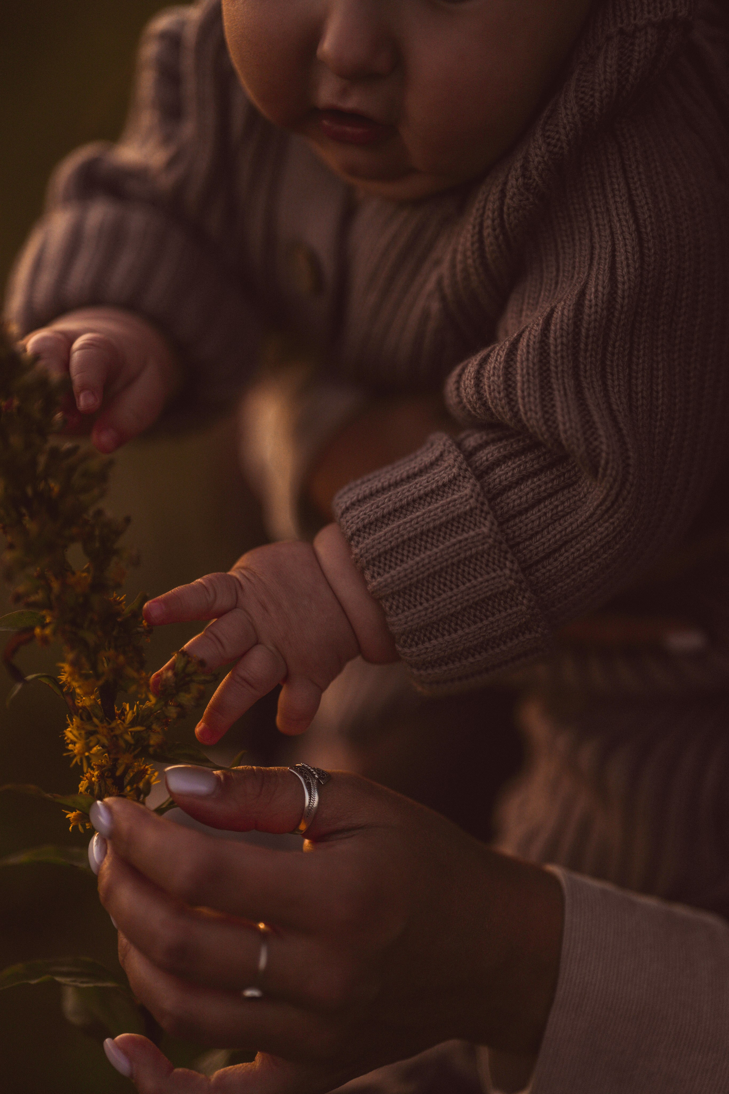Семья Тони и Саши на закате. Семейный и портретный фотограф в Санкт-Петербурге Татьяна Гримоть