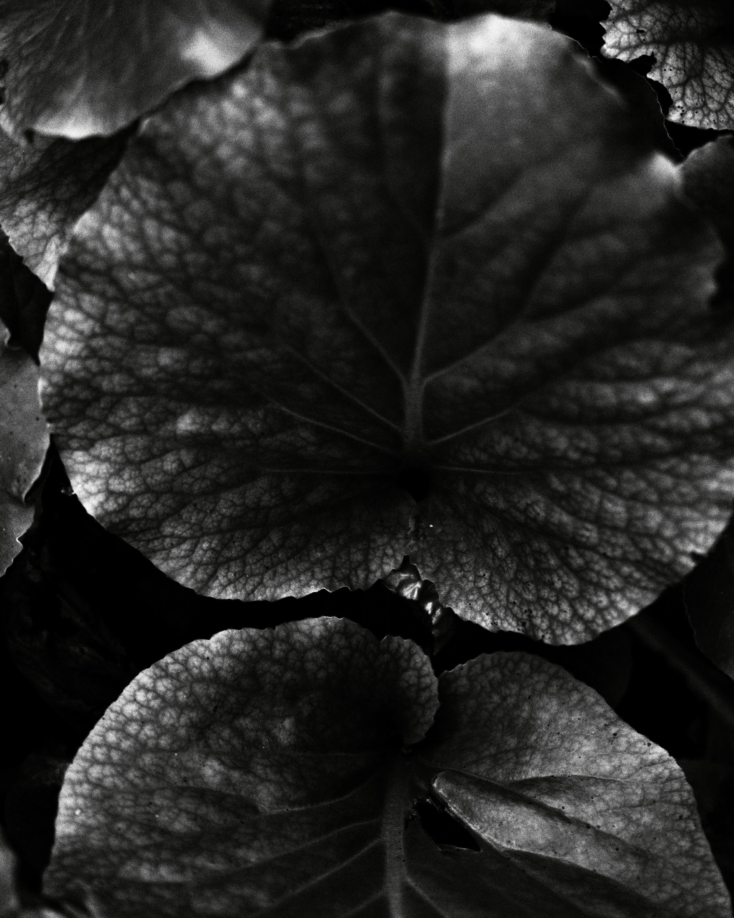 Природа. Фотограф Маргана Лоция