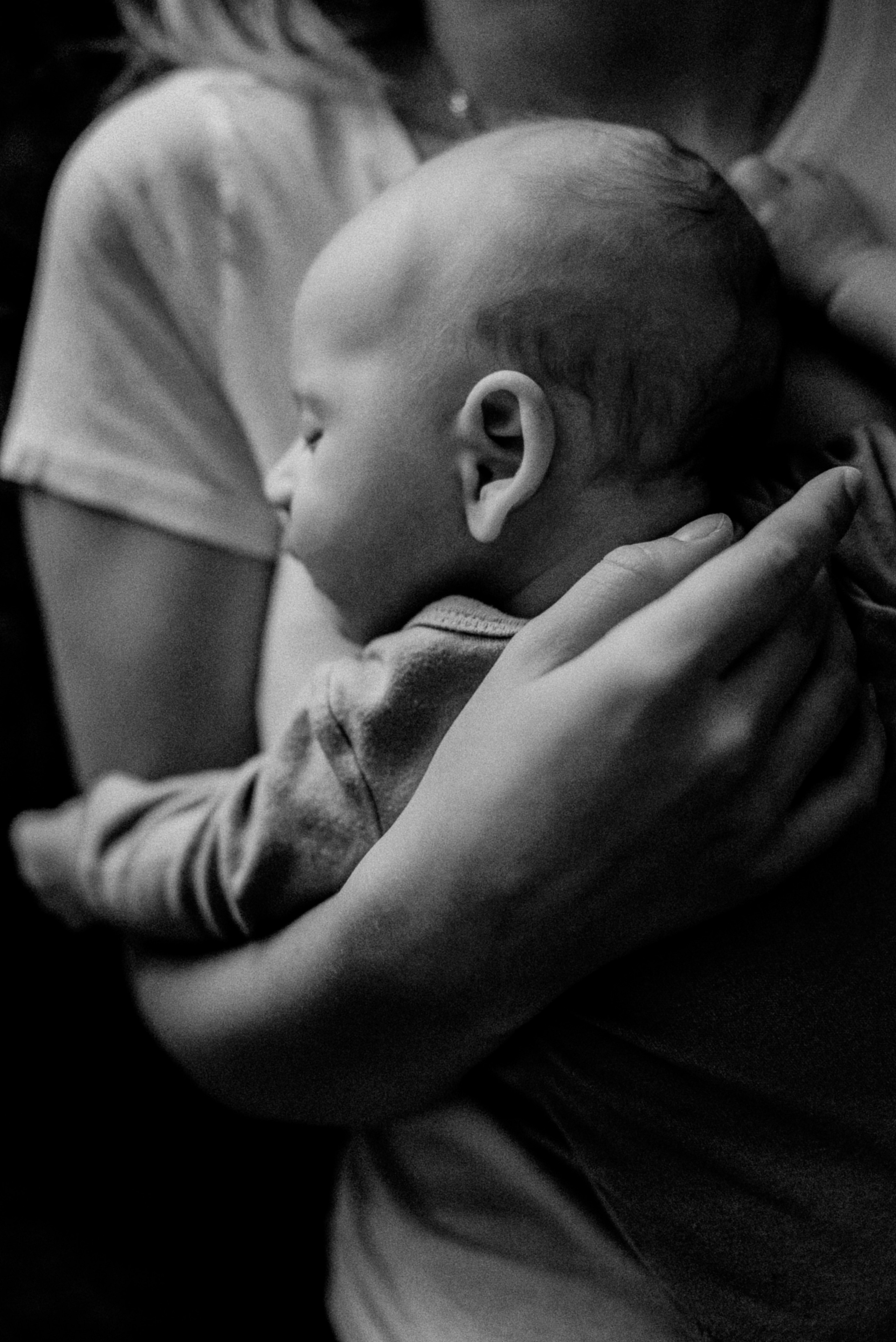 Юля, Саша, Костя. Свадебный фотограф, фотограф беременности Дарья Доценко