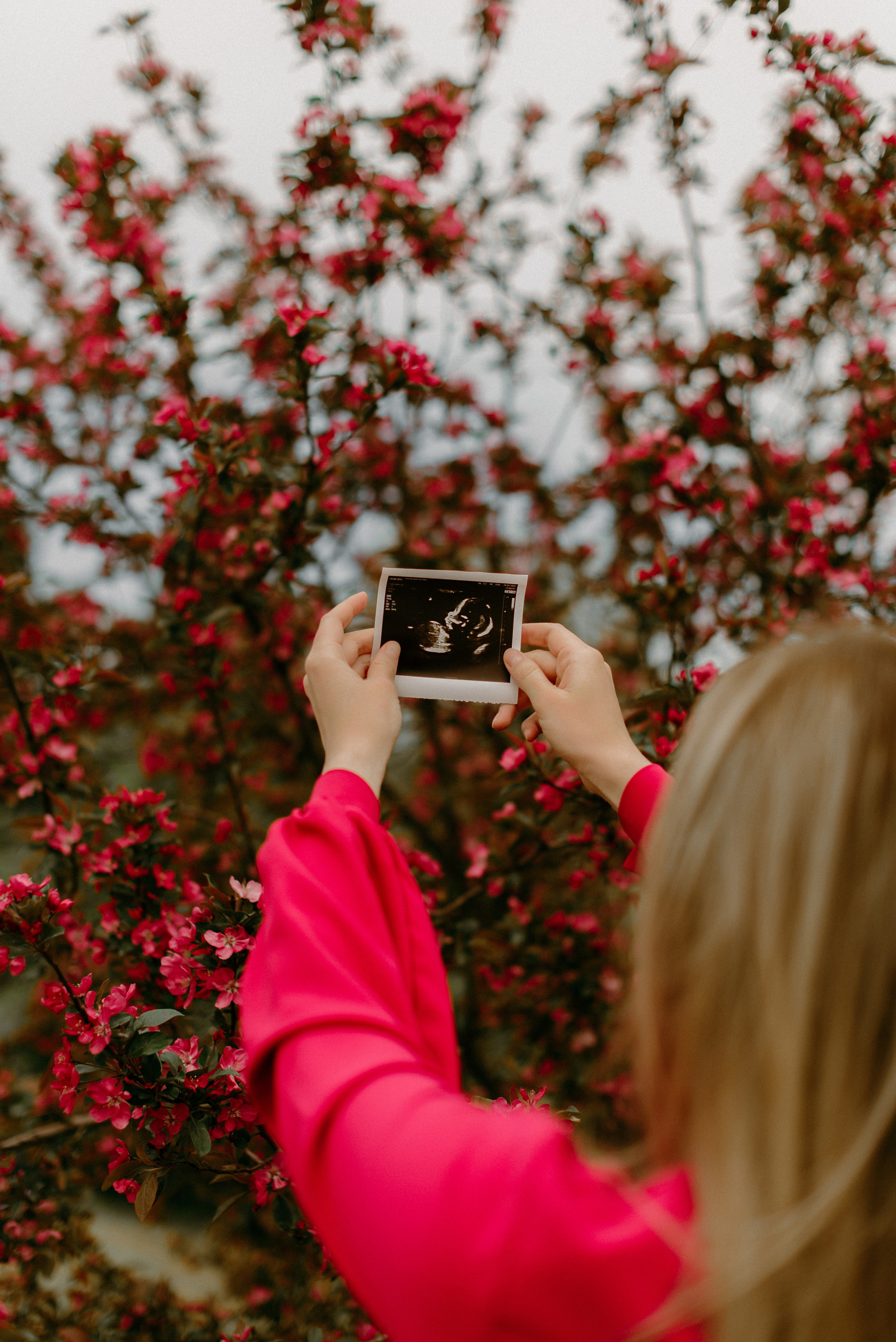 Юля и Саша. Свадебный фотограф, фотограф беременности Дарья Доценко