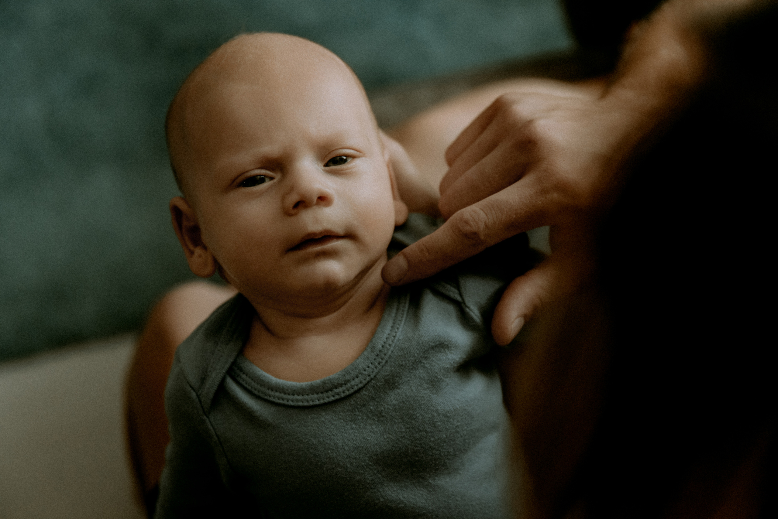 Юля, Саша, Костя. Свадебный фотограф, фотограф беременности Дарья Доценко