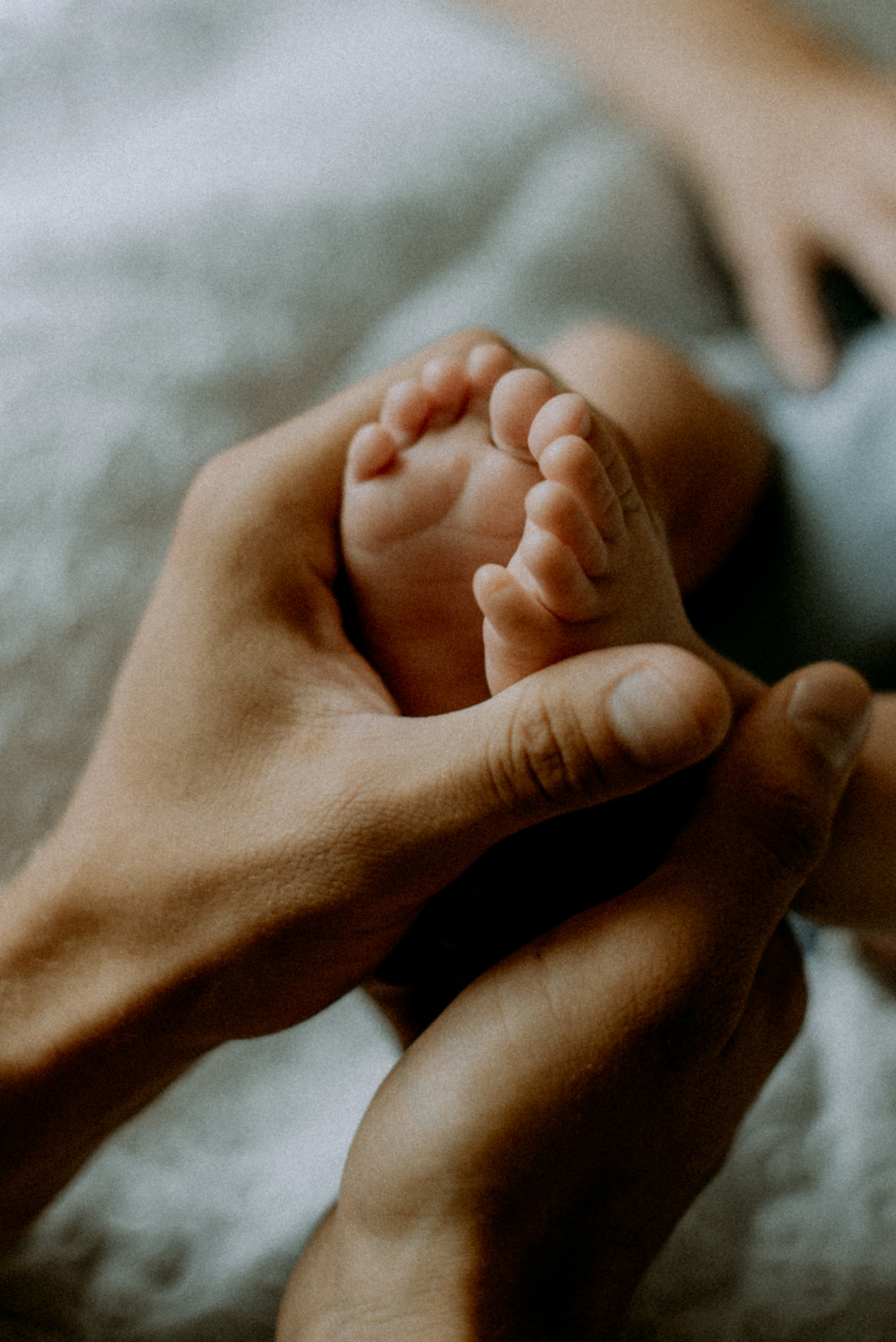 Юля, Саша, Костя. Свадебный фотограф, фотограф беременности Дарья Доценко