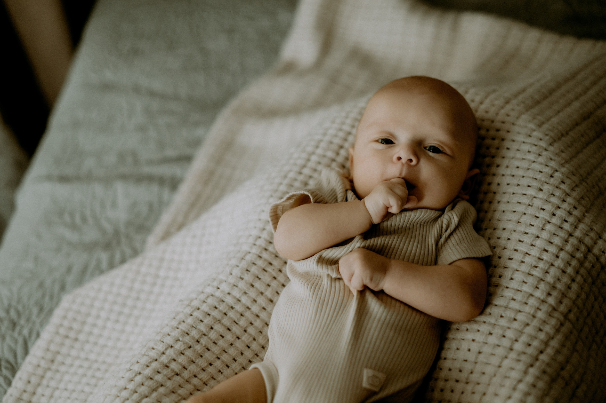 Женя, Паша, Вероника, Костя, Тимур. Свадебный фотограф, фотограф беременности Дарья Доценко