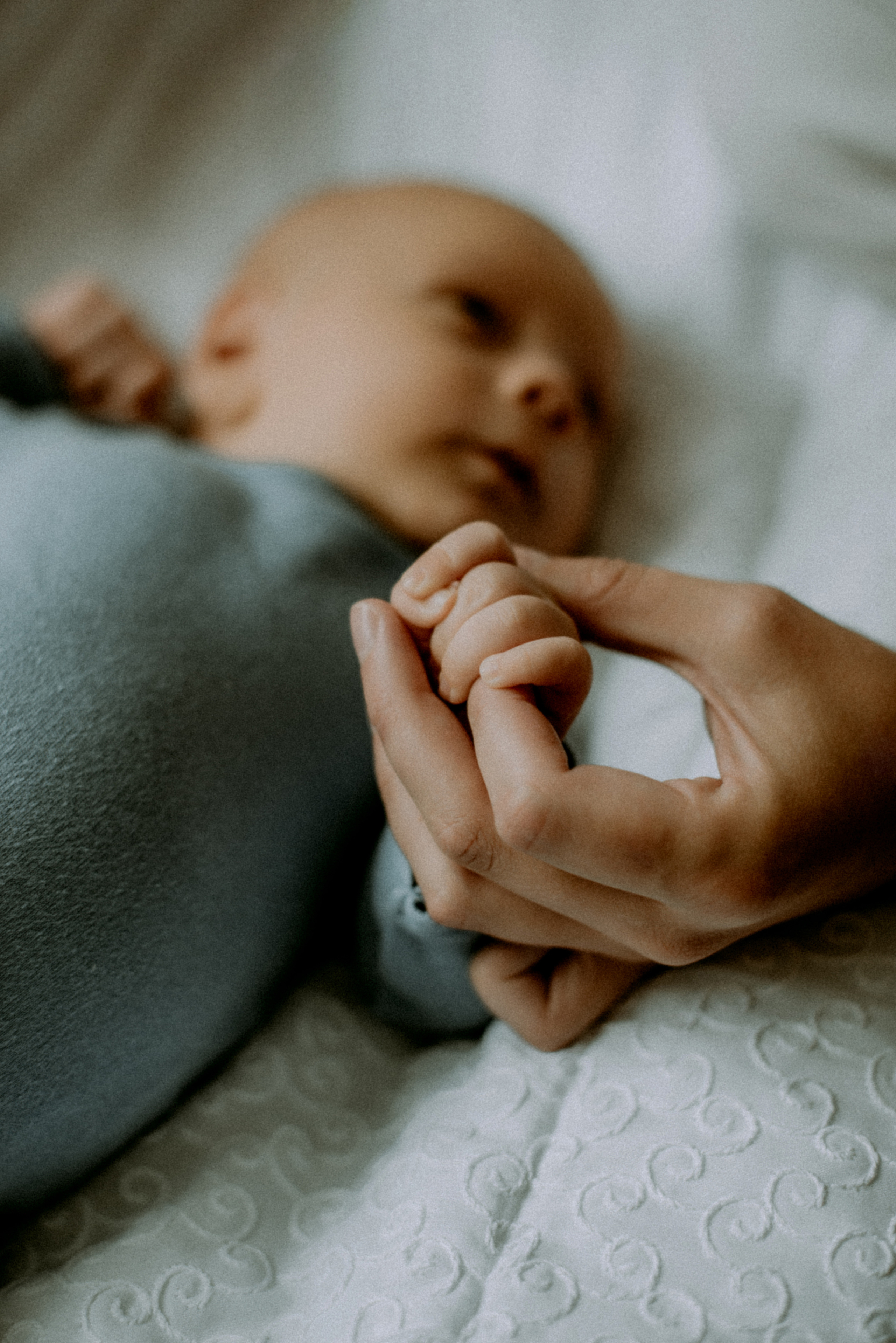 Юля, Саша, Костя. Свадебный фотограф, фотограф беременности Дарья Доценко