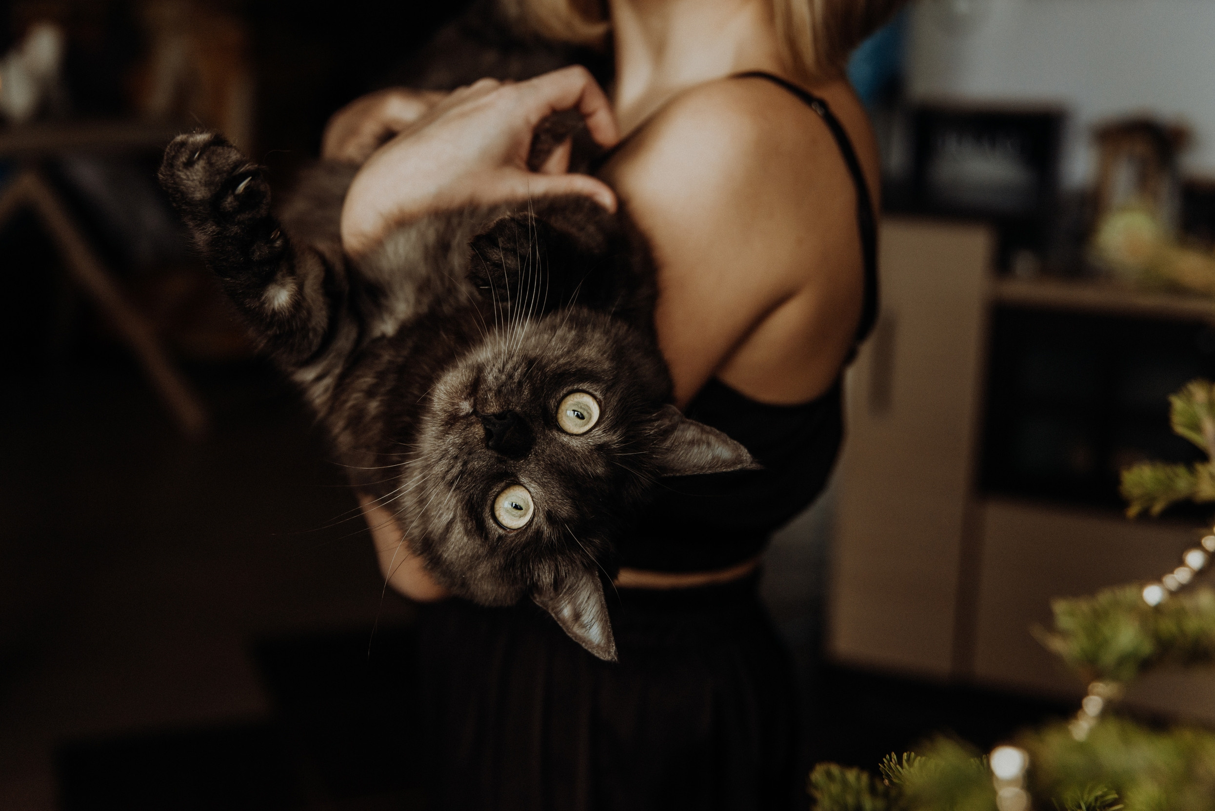 Лена, Тимофей, Марк. Свадебный фотограф, фотограф беременности Дарья Доценко