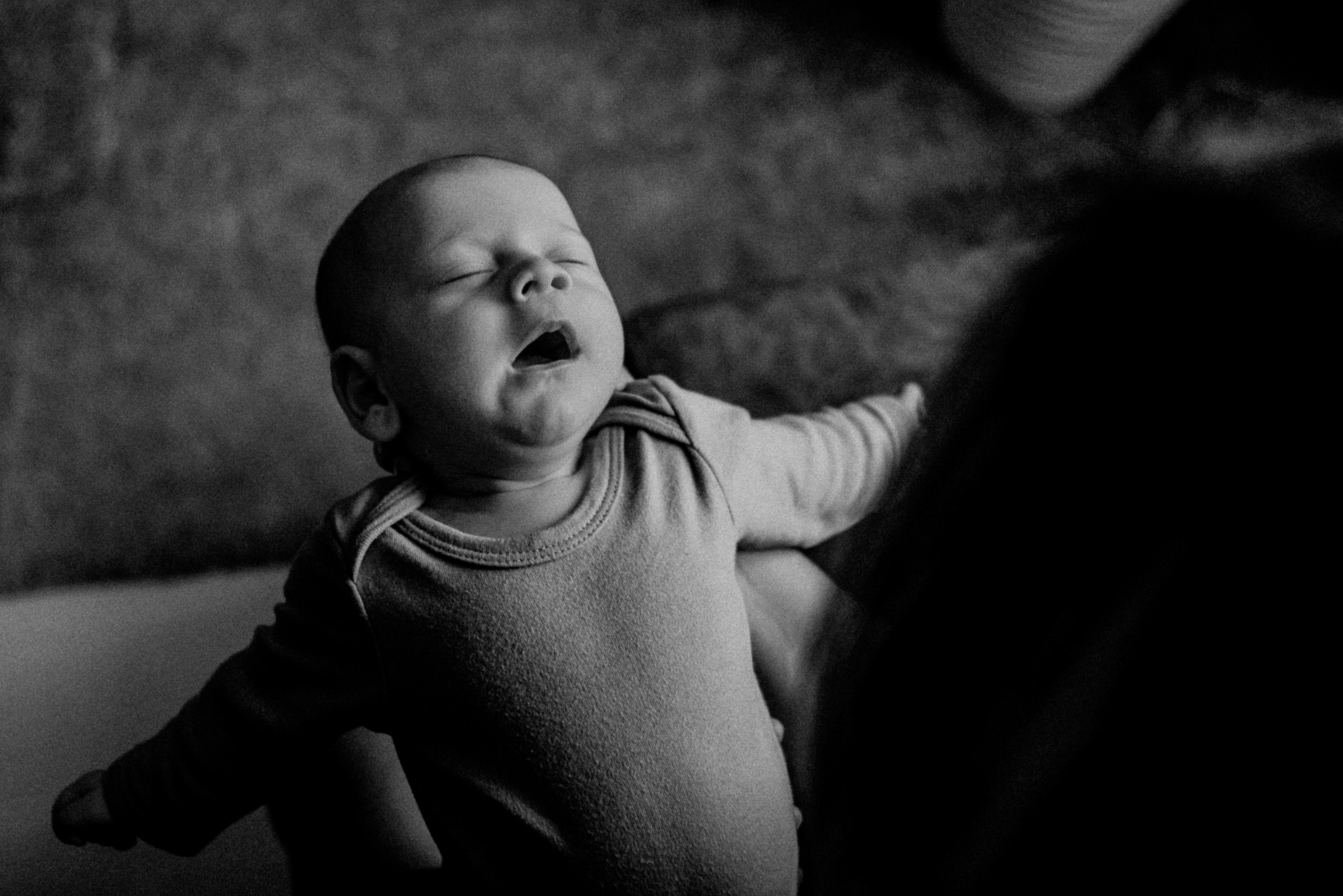 Юля, Саша, Костя. Свадебный фотограф, фотограф беременности Дарья Доценко