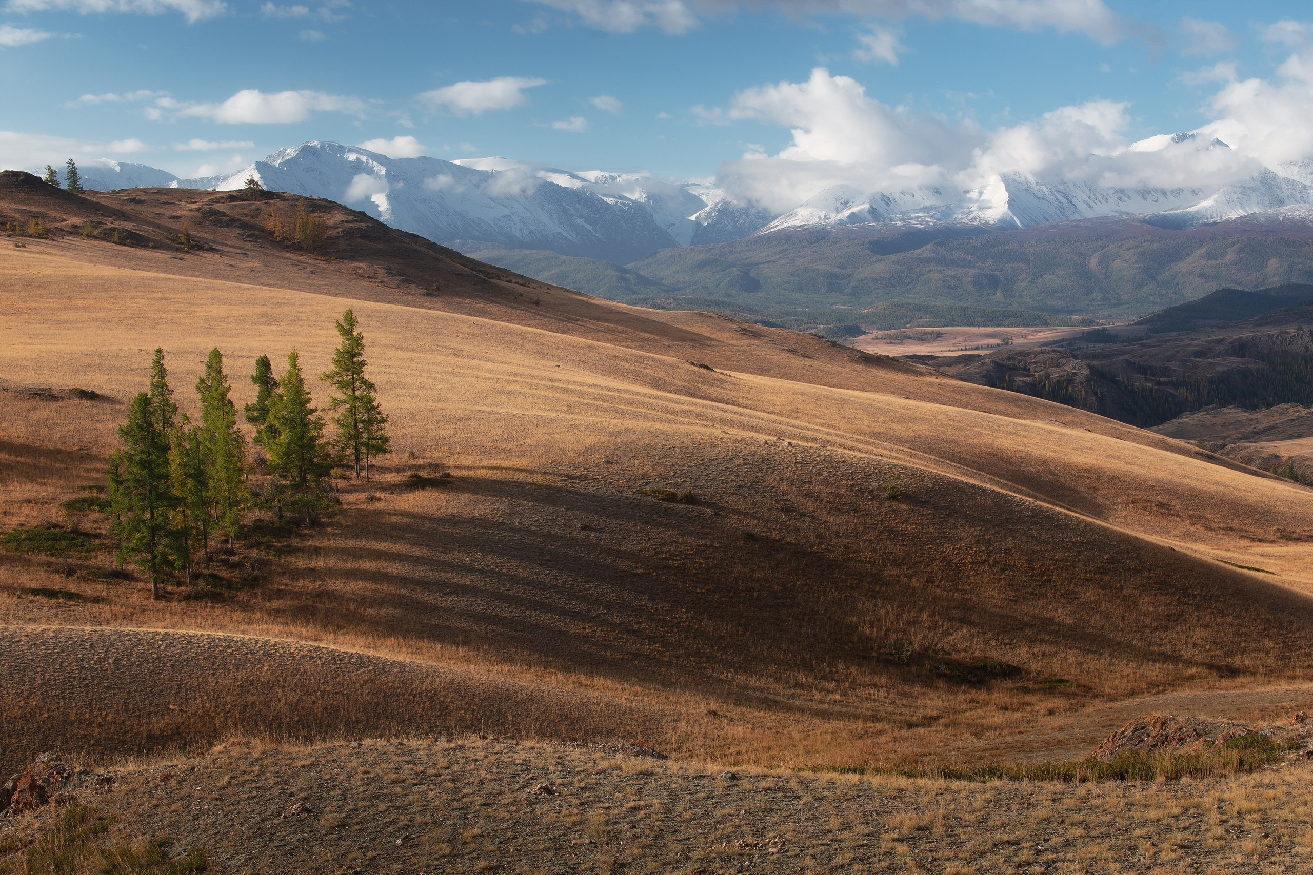 Алтай. Фотограф в Красноярске Нерозя Александр. Пейзаж, природа, портрет