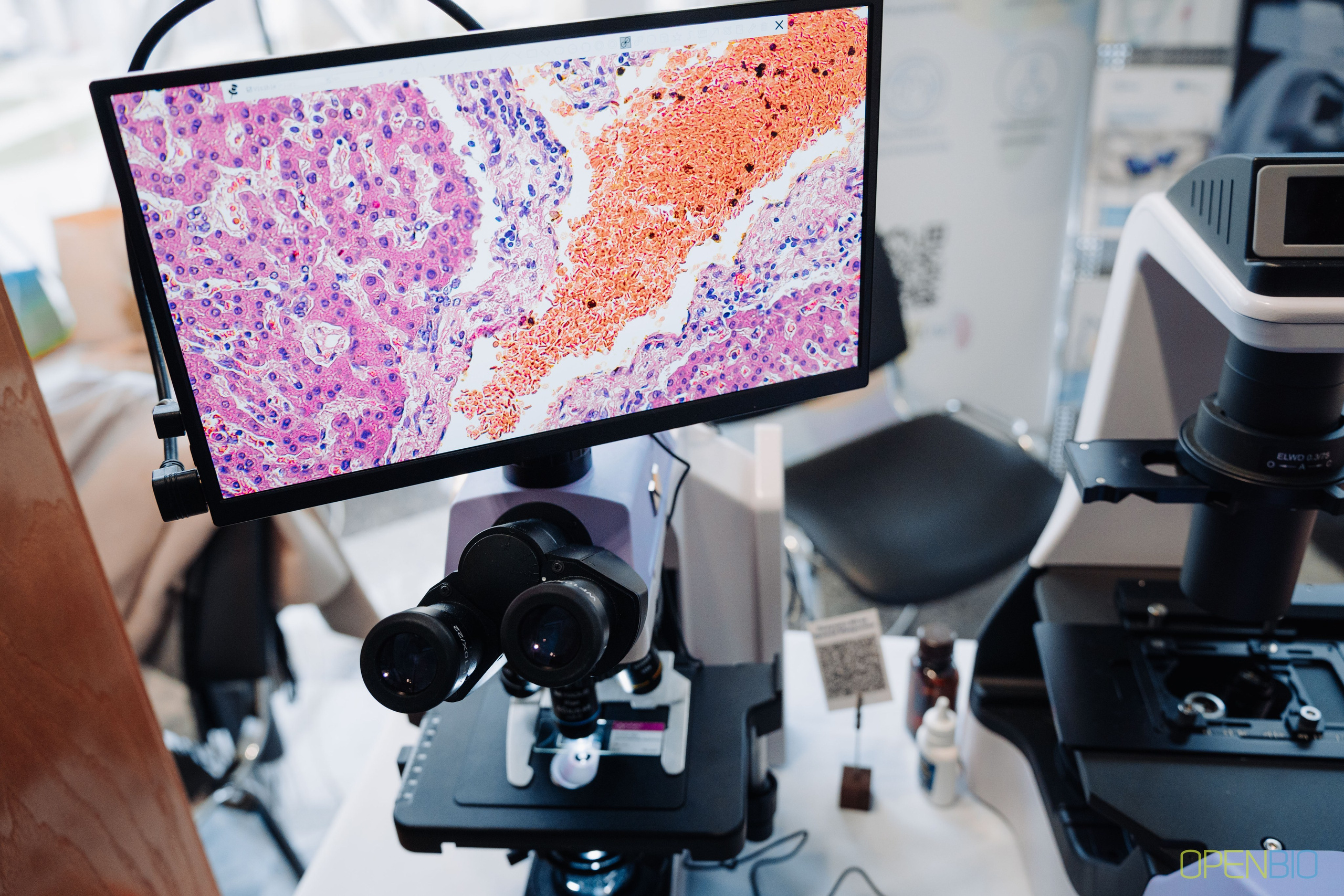 OpenBio. Фотограф Новосибирск I Дамдинов Бато