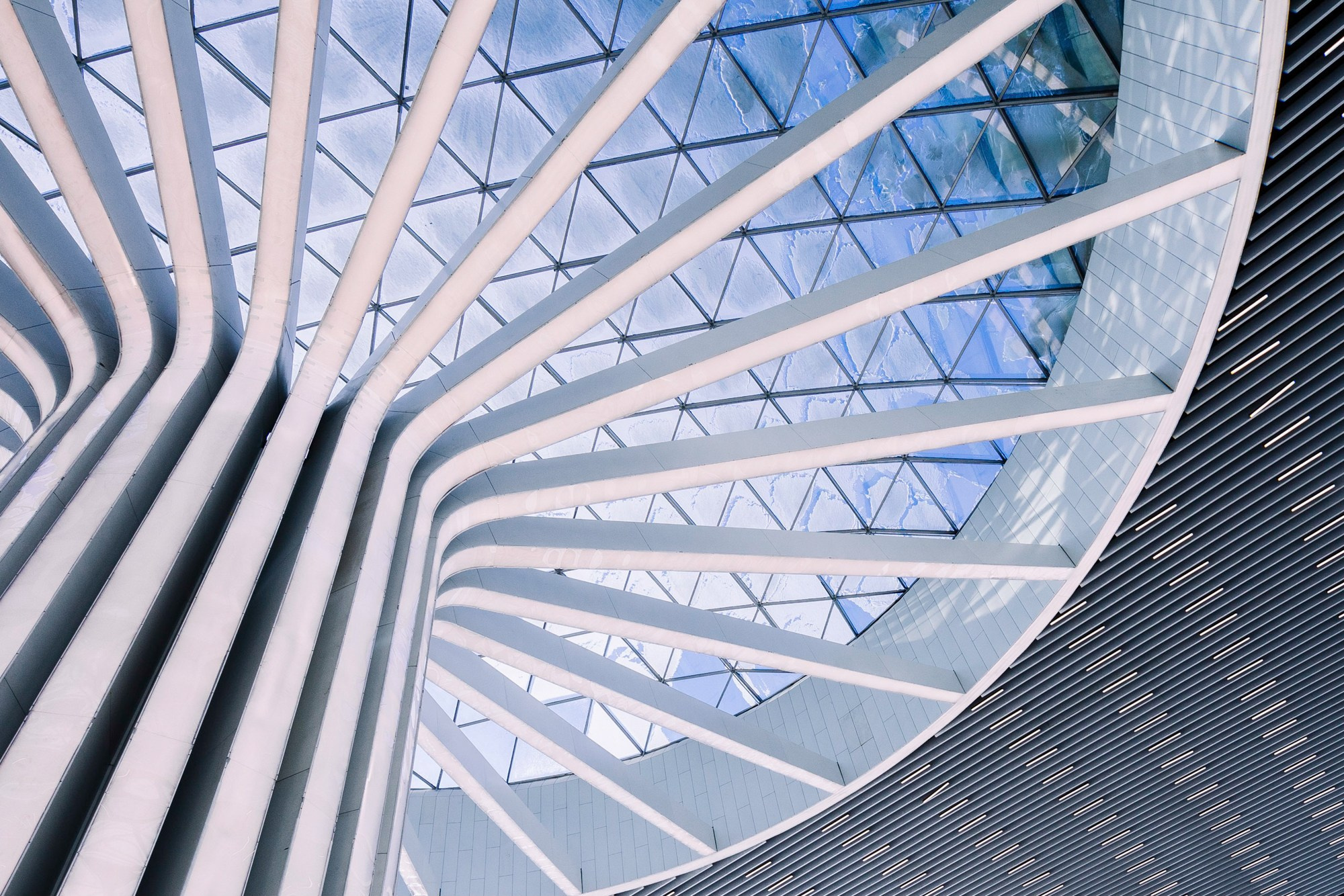 Открытие I Аэропорт Толмачево. Фотограф Новосибирск I Дамдинов Бато