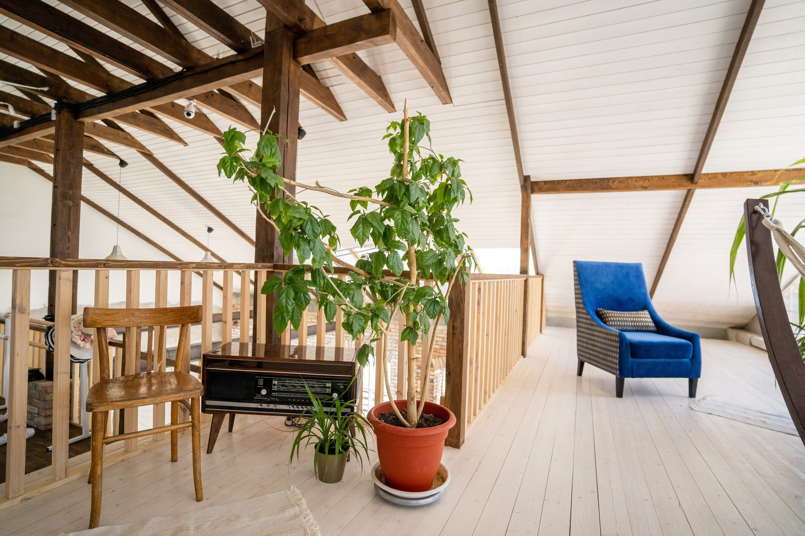 Список Фотостудий Оренбурга. Юрий Тублицев. Фотограф. Оренбург