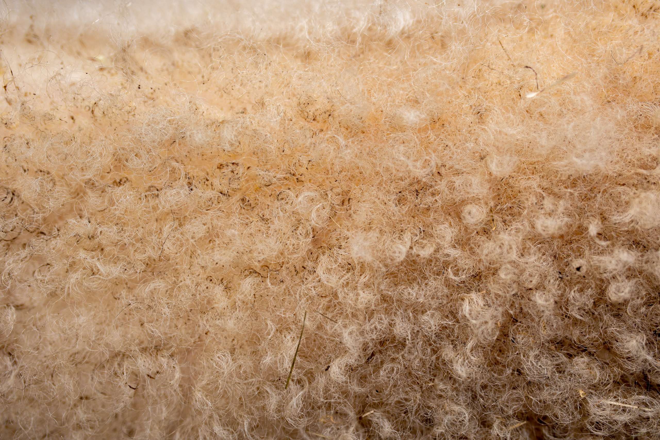 ЦВЕТНЫЕ ФОТОГРАФИИ. Никита Аничкин фото и видео оператор из России