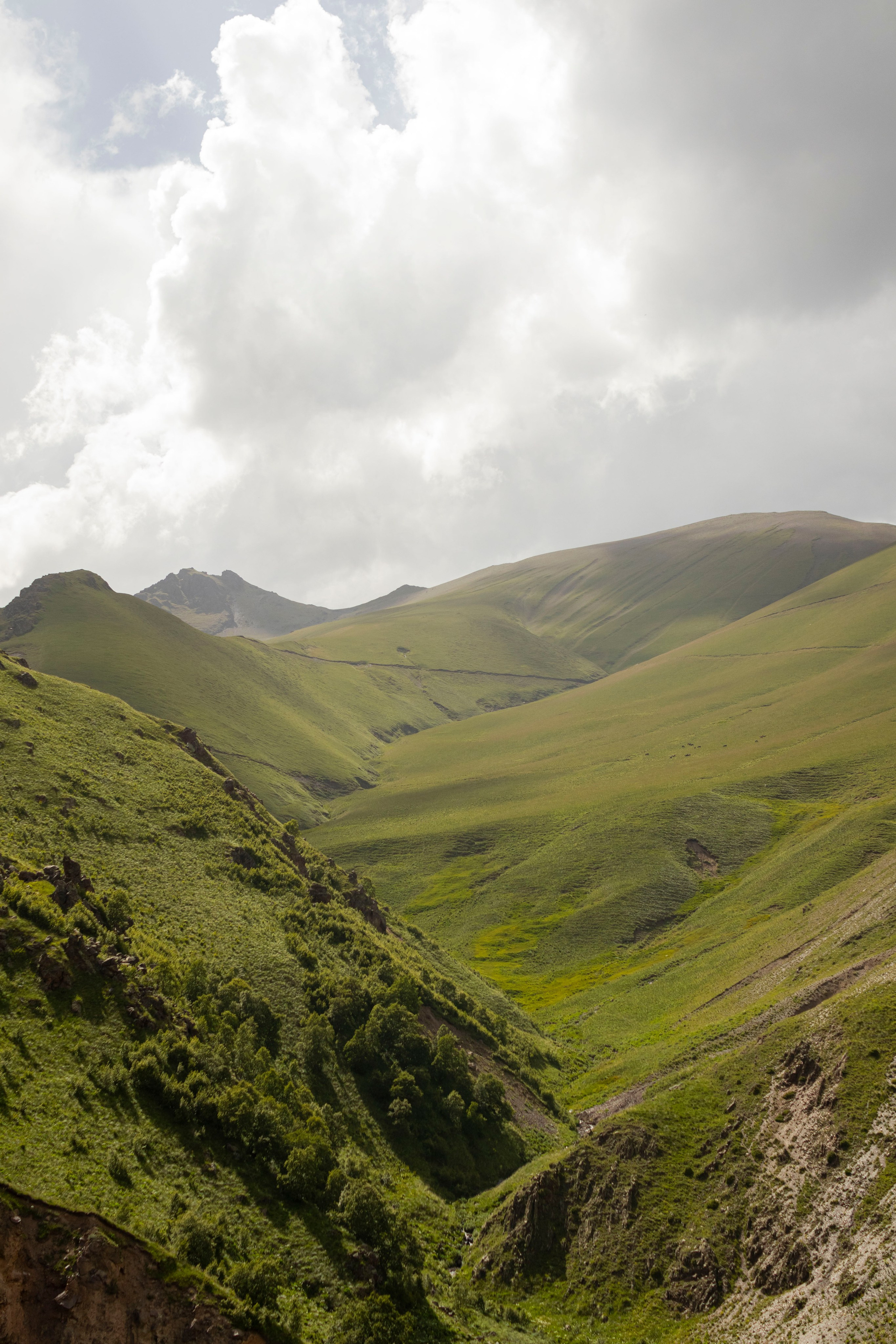 Репортажи / мероприятия. Свадебный фотограф в Москве Александра Соболева |Weddings, people, travel, etc