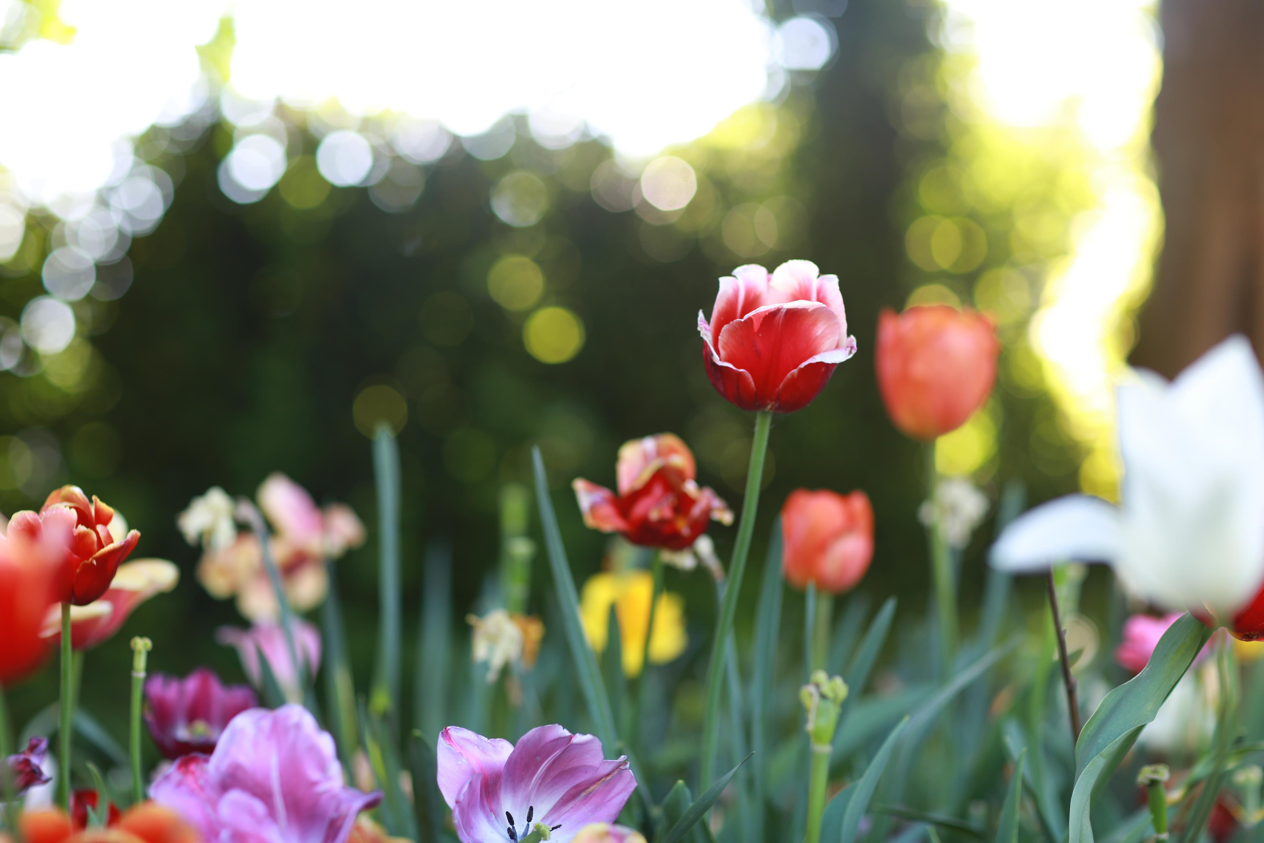 Детские фотосессии. Фотограф в Москве. Контент для блога. В портфолио и просто на память