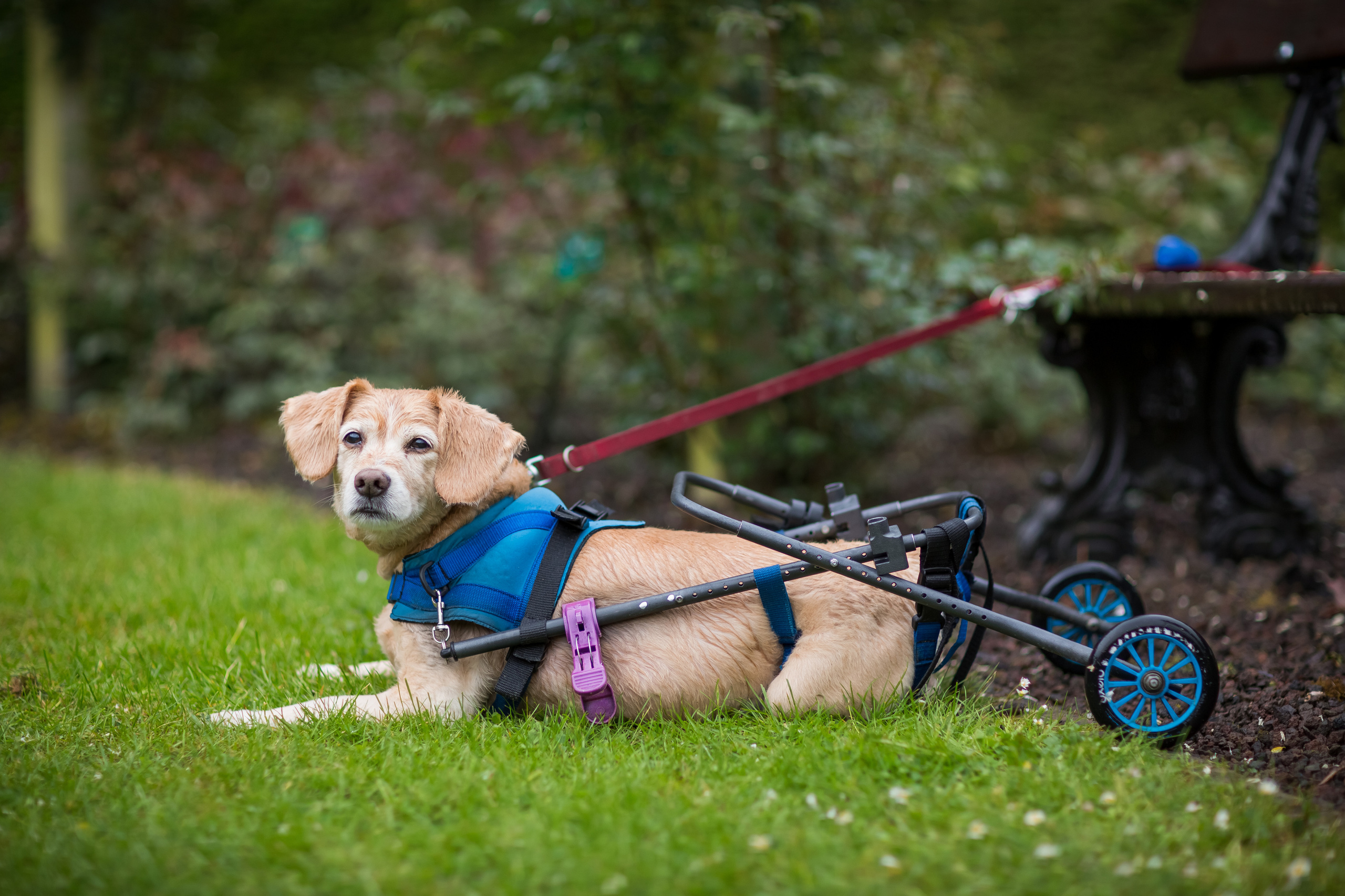 Love story Алексея и Ольги. Фотограф в Москве. Контент для блога. В портфолио и просто на память