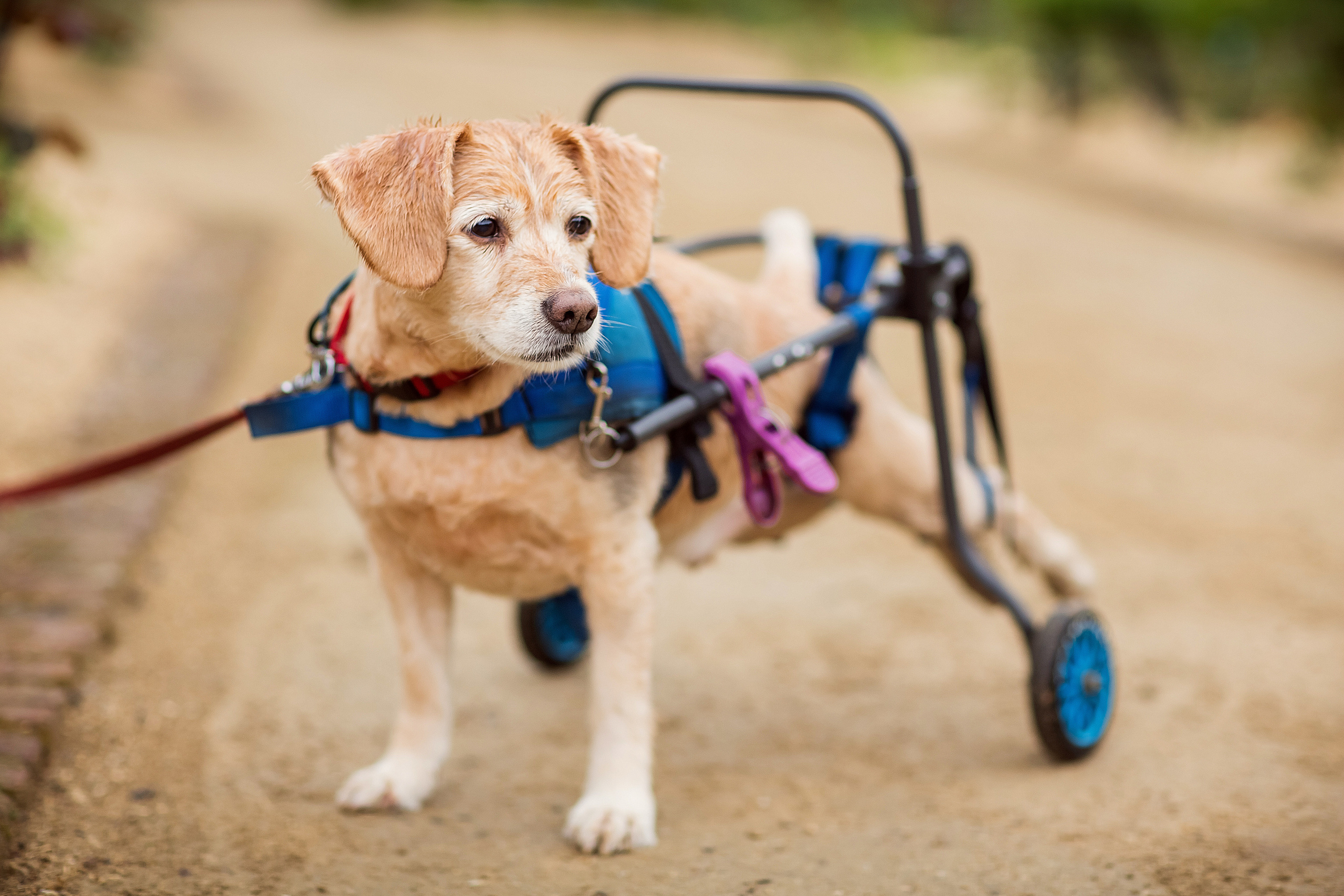 Love story Алексея и Ольги. Фотограф в Москве. Контент для блога. В портфолио и просто на память