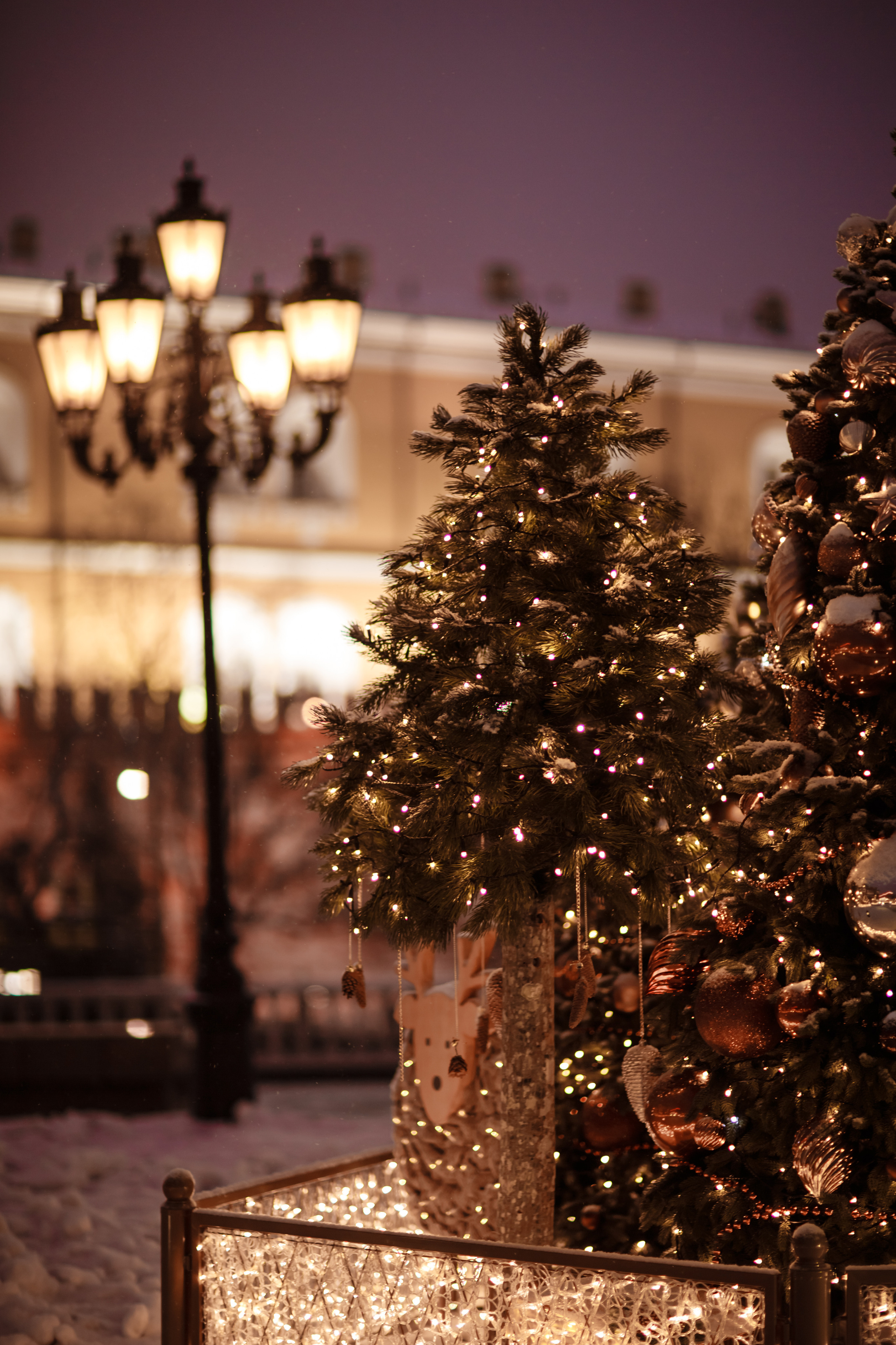 Фотопрогулка по новогодней Москве. Фотограф в Москве. Контент для блога. В портфолио и просто на память
