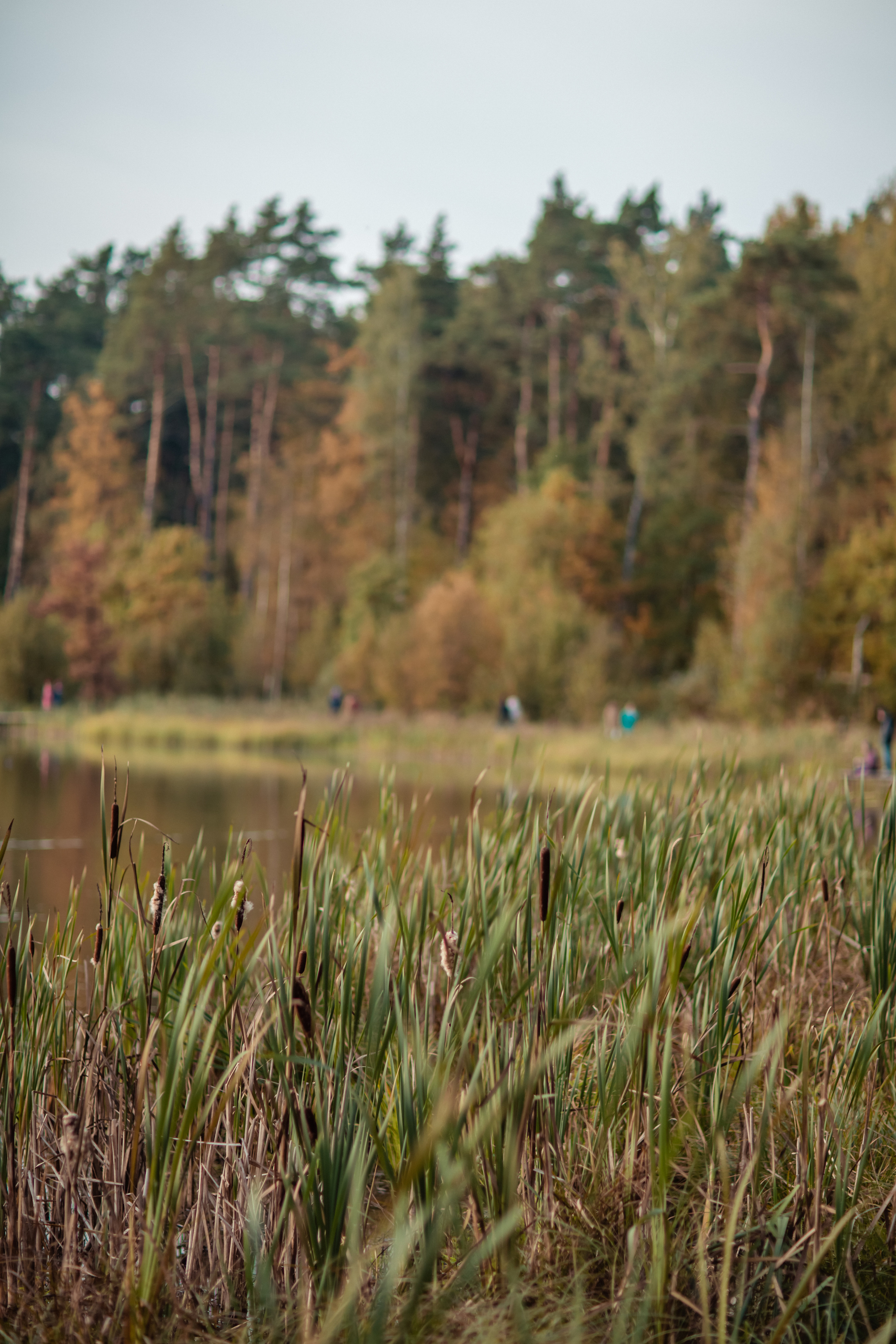 Осенняя фотопрогулка для Ани и Вики. Фотограф в Москве. Контент для блога. В портфолио и просто на память