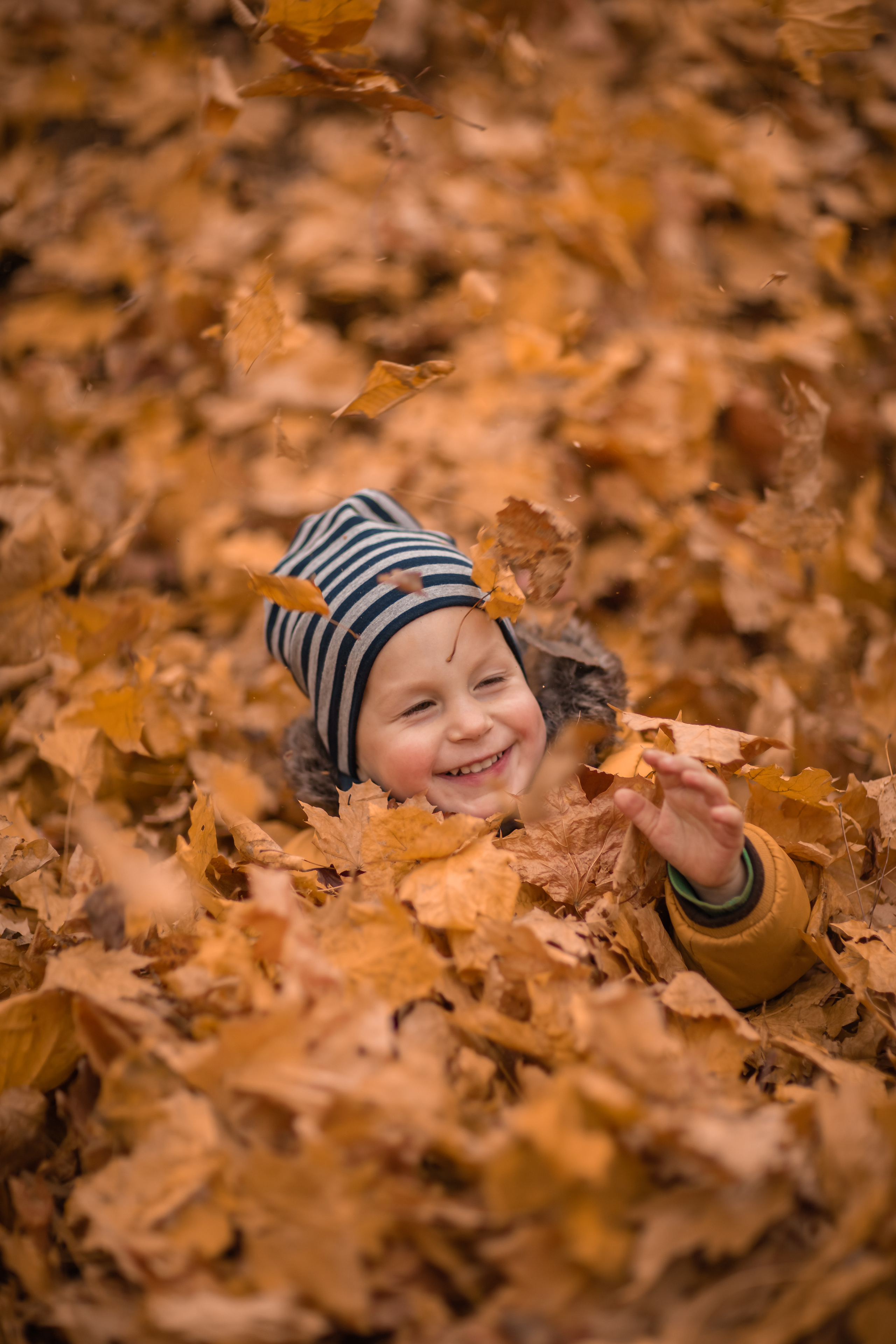 Семеёная осенняя фотопрогулка, фотосессия в Москве. Фотограф в Москве. Контент для блога. В портфолио и просто на память