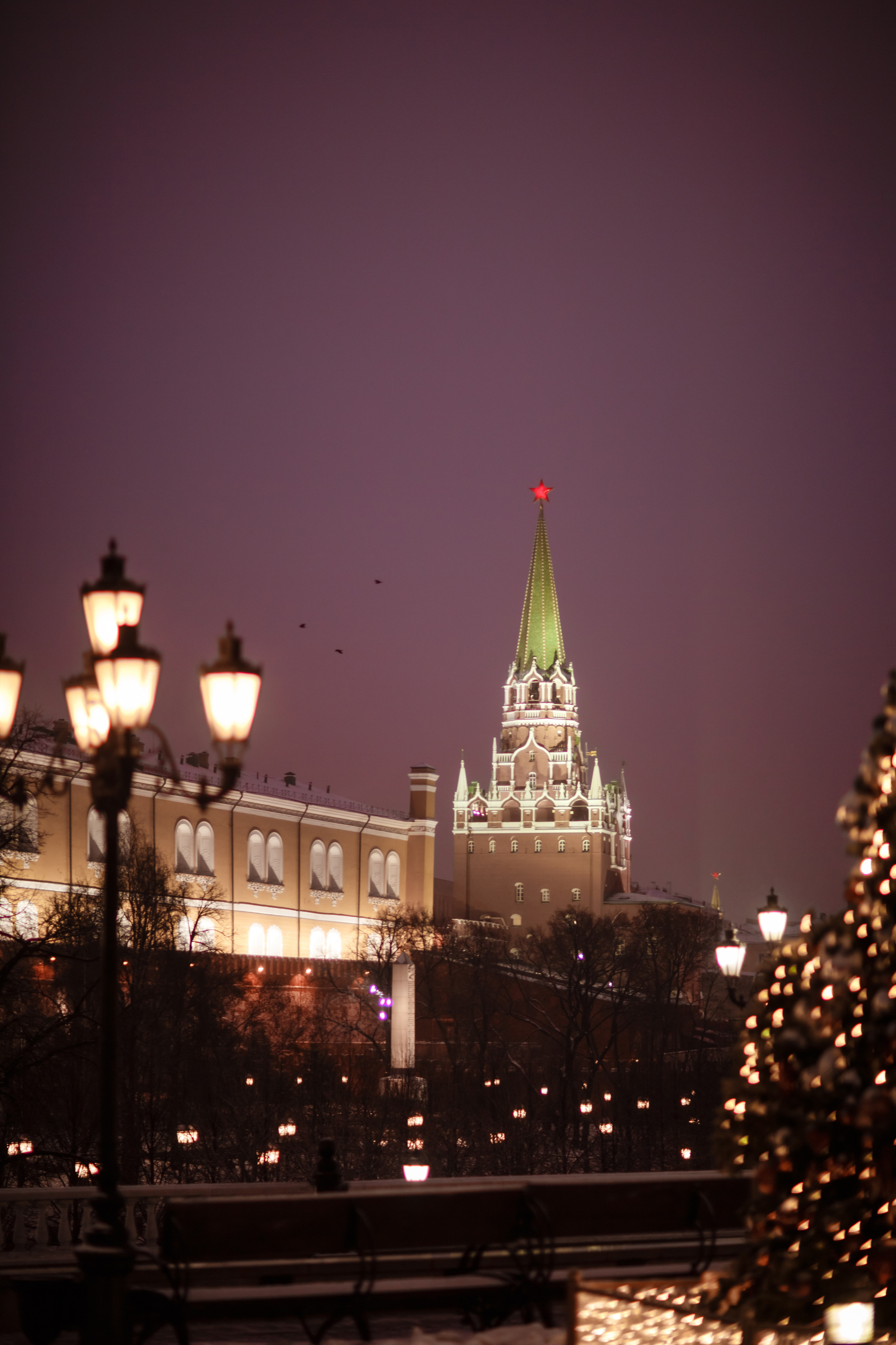 Фотопрогулка по новогодней Москве. Фотограф в Москве. Контент для блога. В портфолио и просто на память