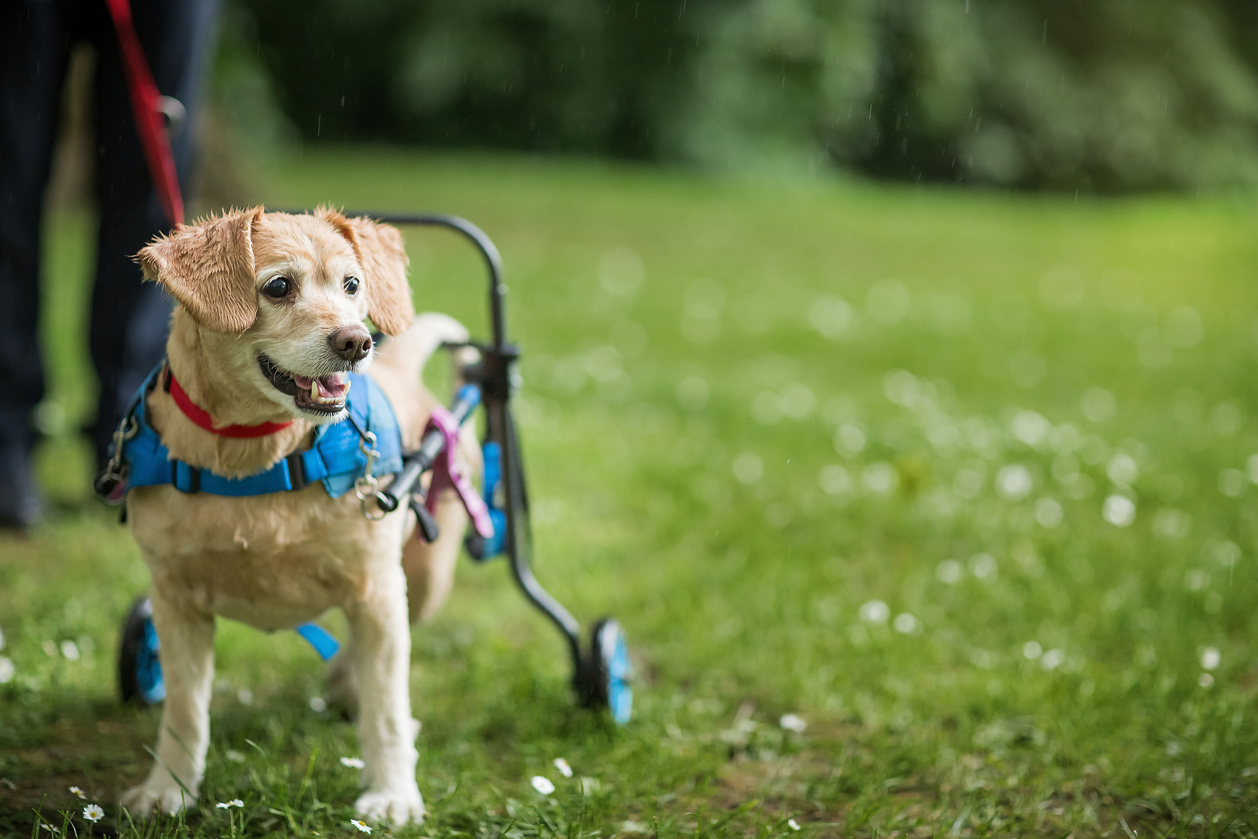 Love story Алексея и Ольги. Фотограф в Москве. Контент для блога. В портфолио и просто на память