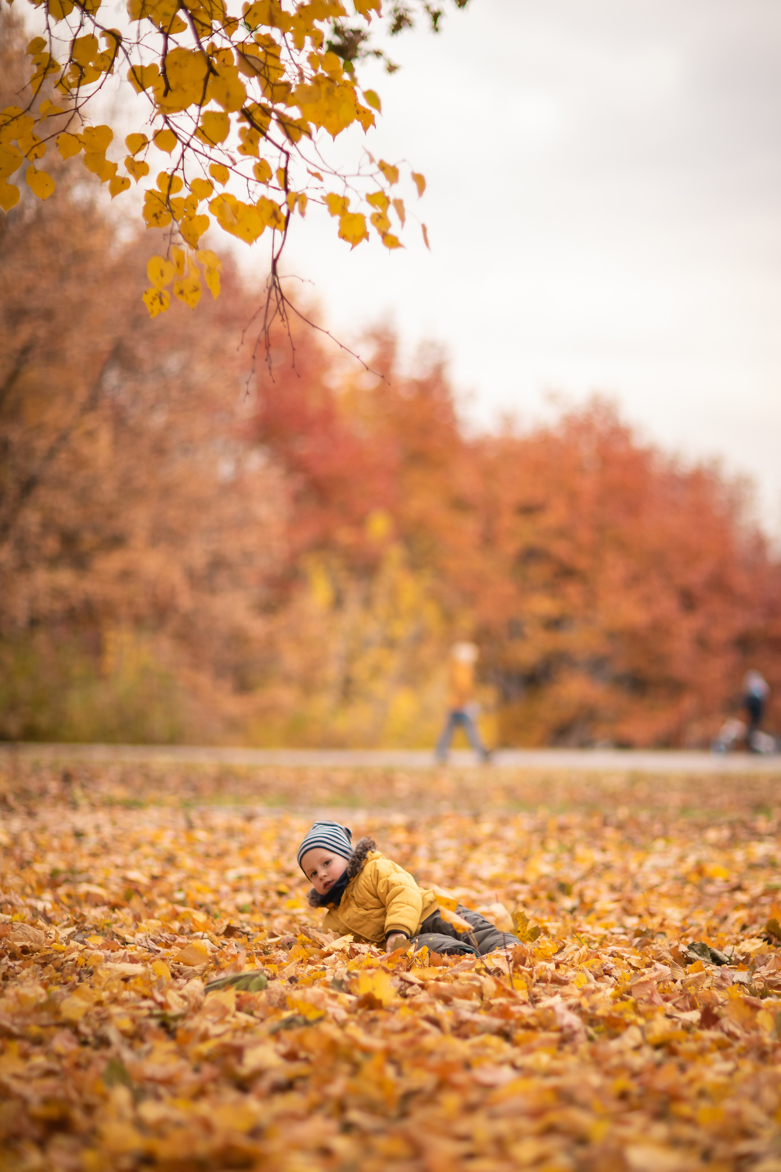 Семеёная осенняя фотопрогулка, фотосессия в Москве. Фотограф в Москве. Контент для блога. В портфолио и просто на память