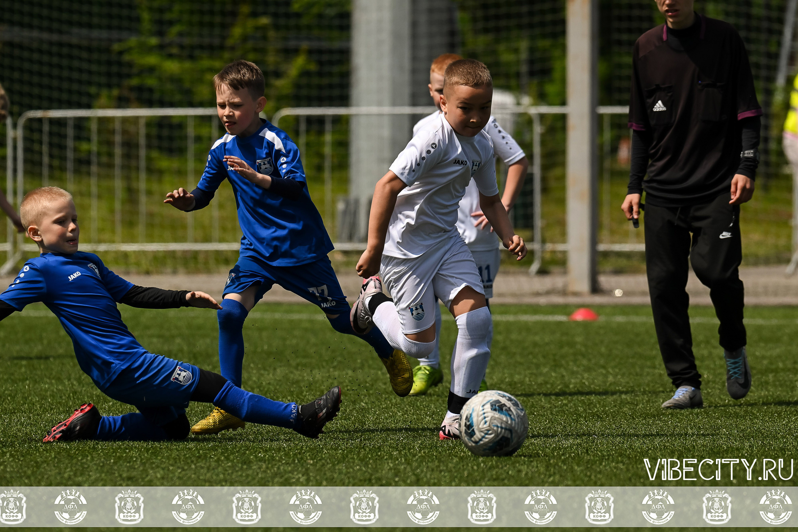 Большие Звезды светят Малым. VIBECITY.RU Вайб Сити Ру Фоторепортажи Фотоотчеты Калининград