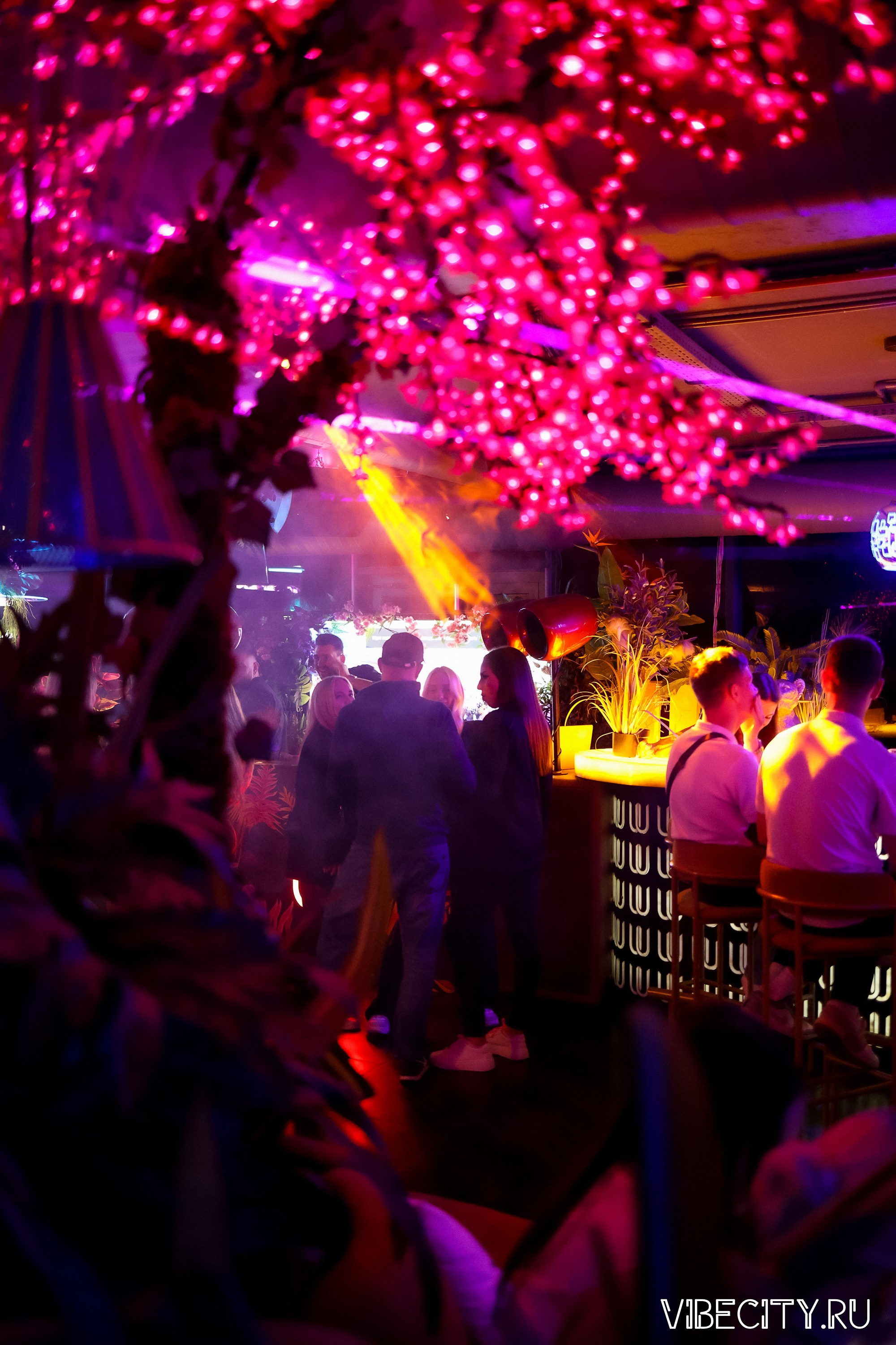 DOUBLE U. VIBECITY.RU Вайб Сити Ру Фоторепортажи Фотоотчеты Калининград