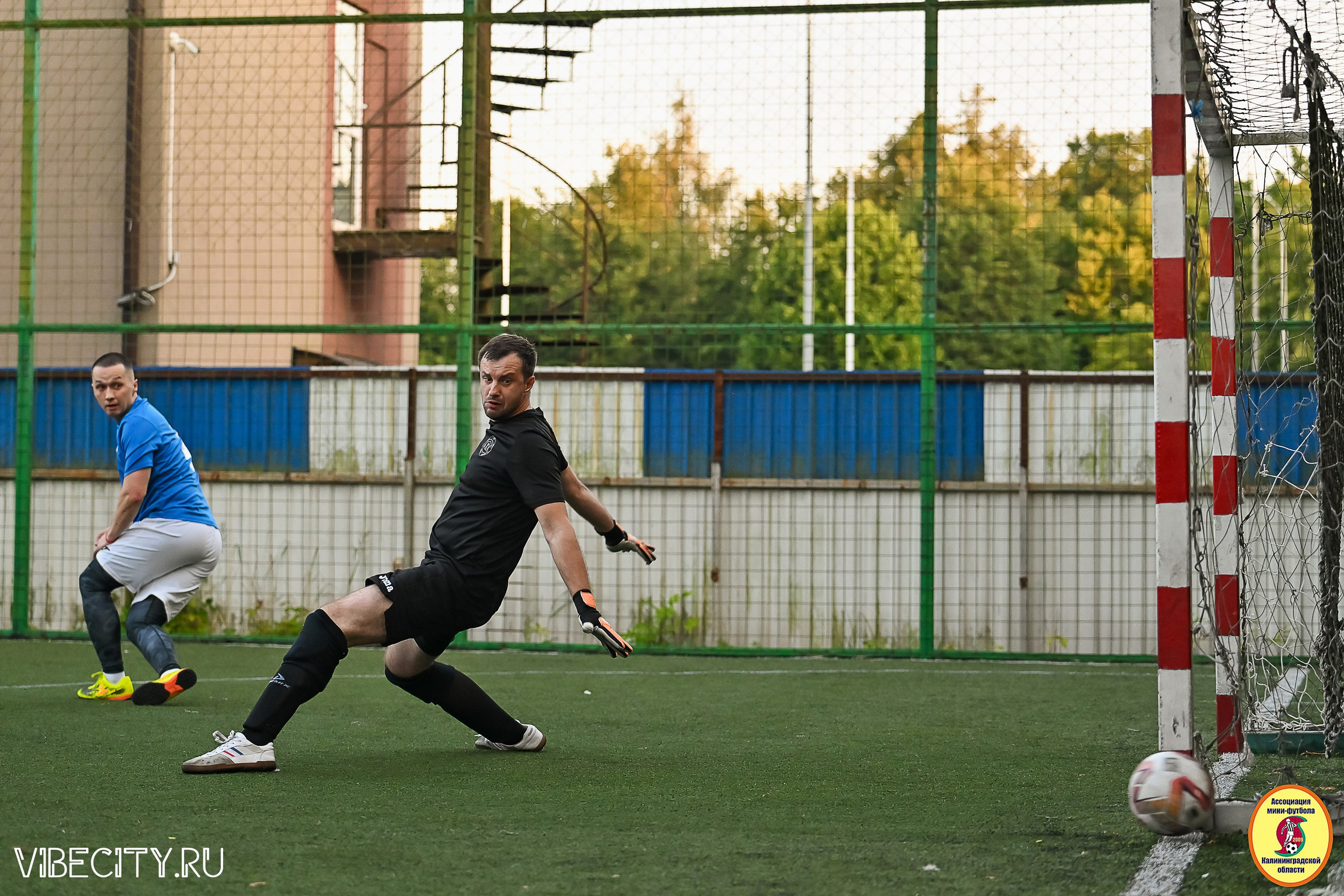 ИГРЫ ПЛЕЙ-ОФФ ПЕРВОГО ДИВИЗИОНА МИНИ-ФУТБОЛЬНОЙ ЛИГИ. VIBECITY.RU Вайб Сити Ру Фоторепортажи Фотоотчеты Калининград
