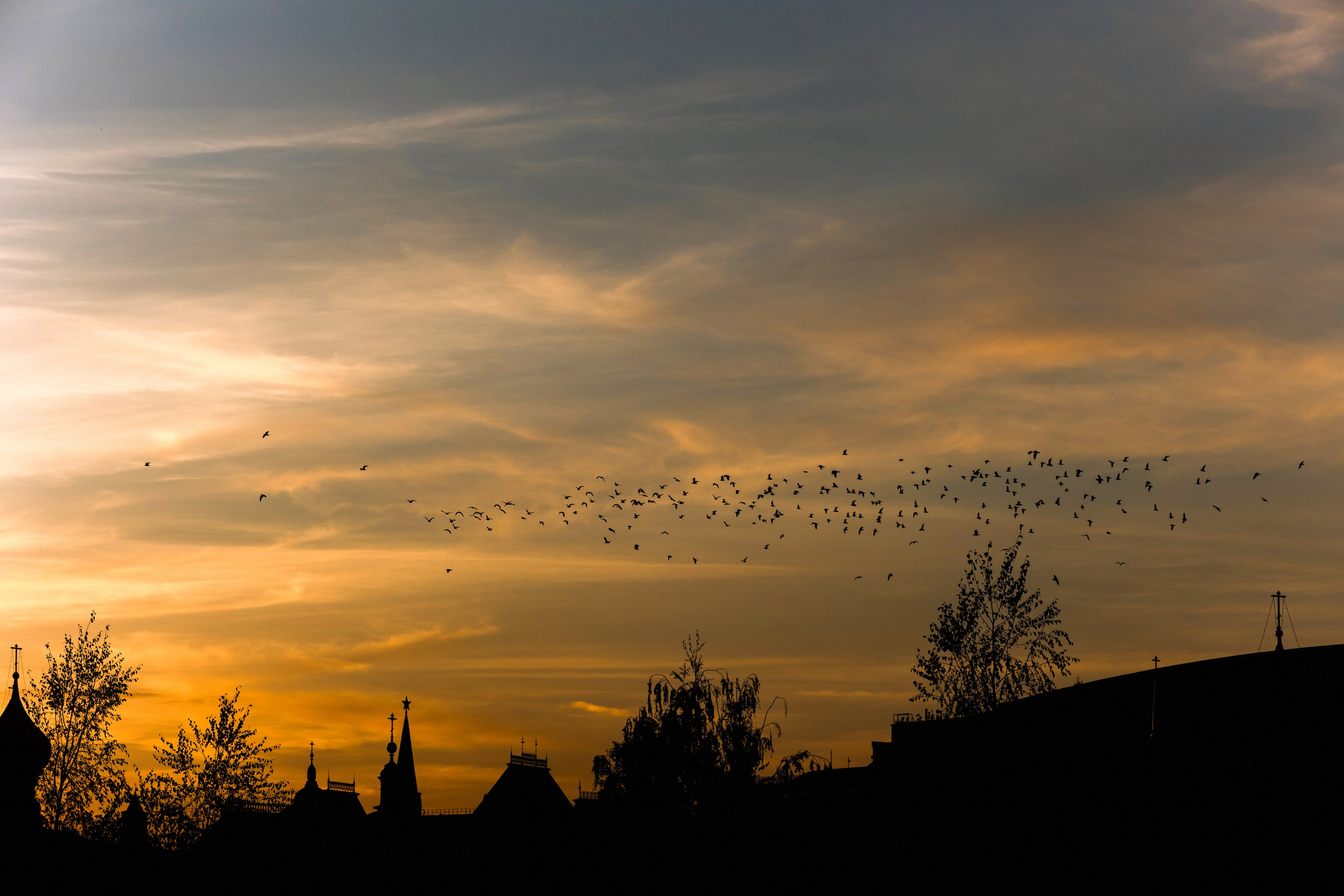 Алена и Дима. Фотограф Олеся Голева