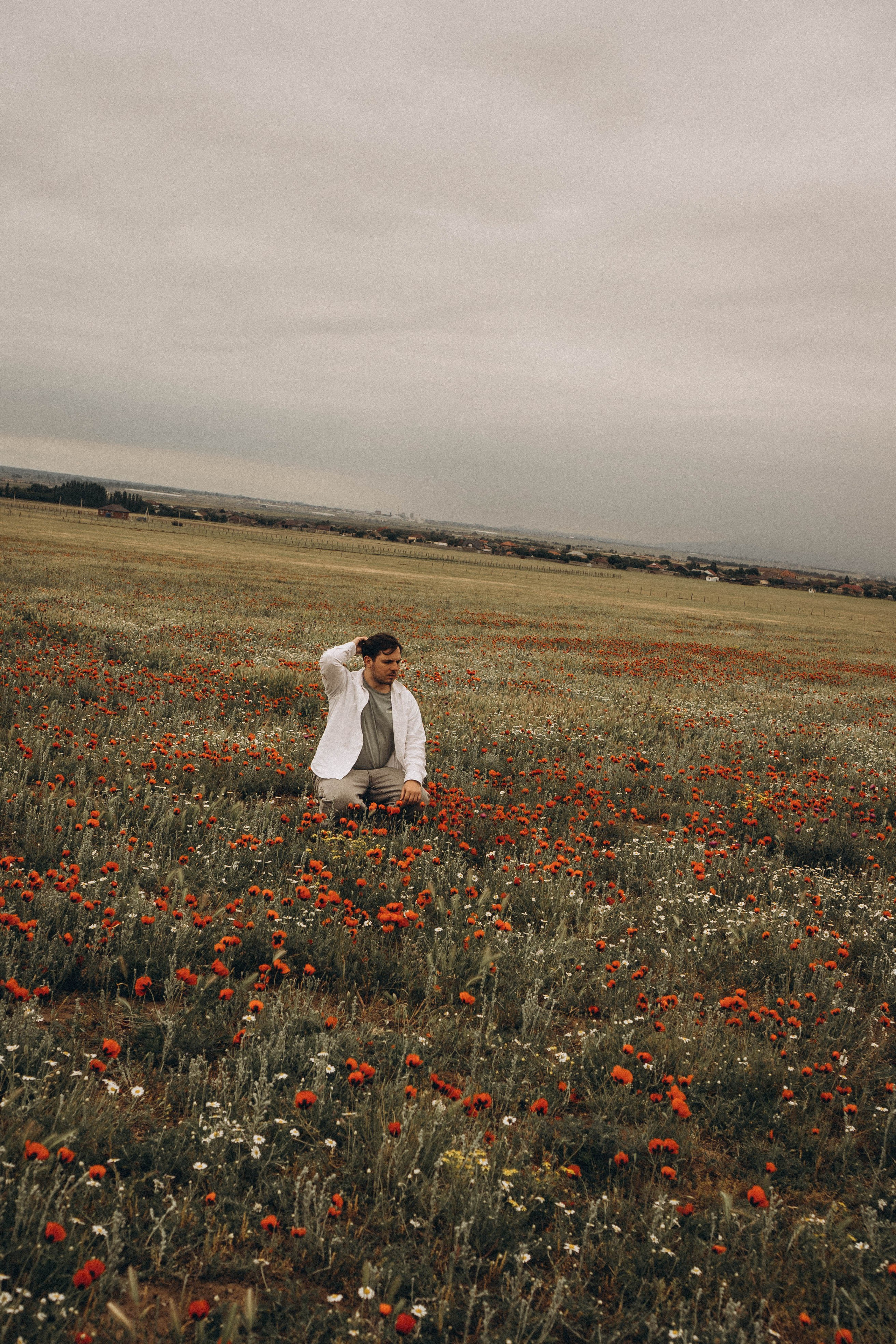 Маки. Профессиональный фотограф, Санкт-Петербург — Виктория Богомолова