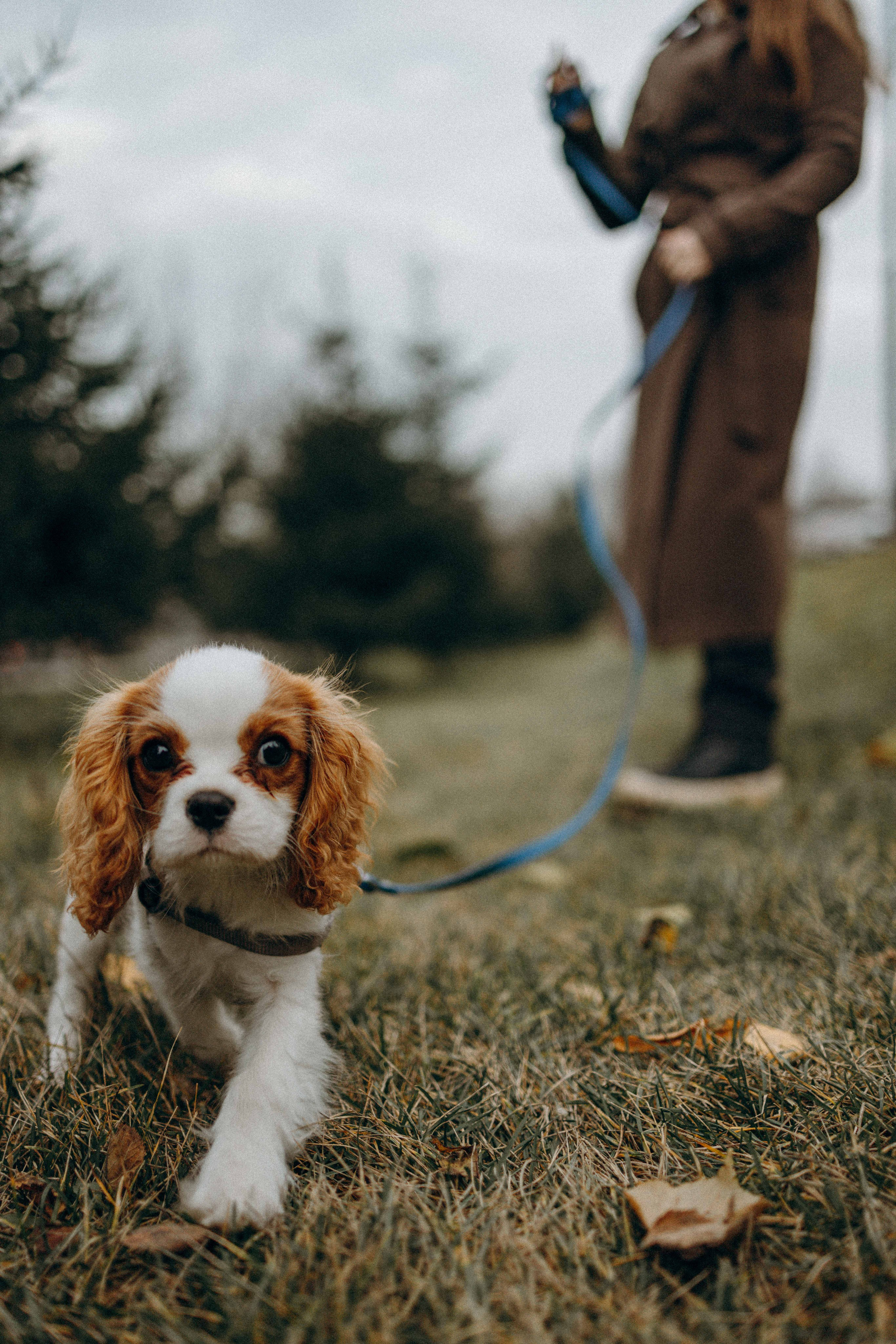 Юля и Кипр. Фотограф-анималист в Москве Лера Черноног
