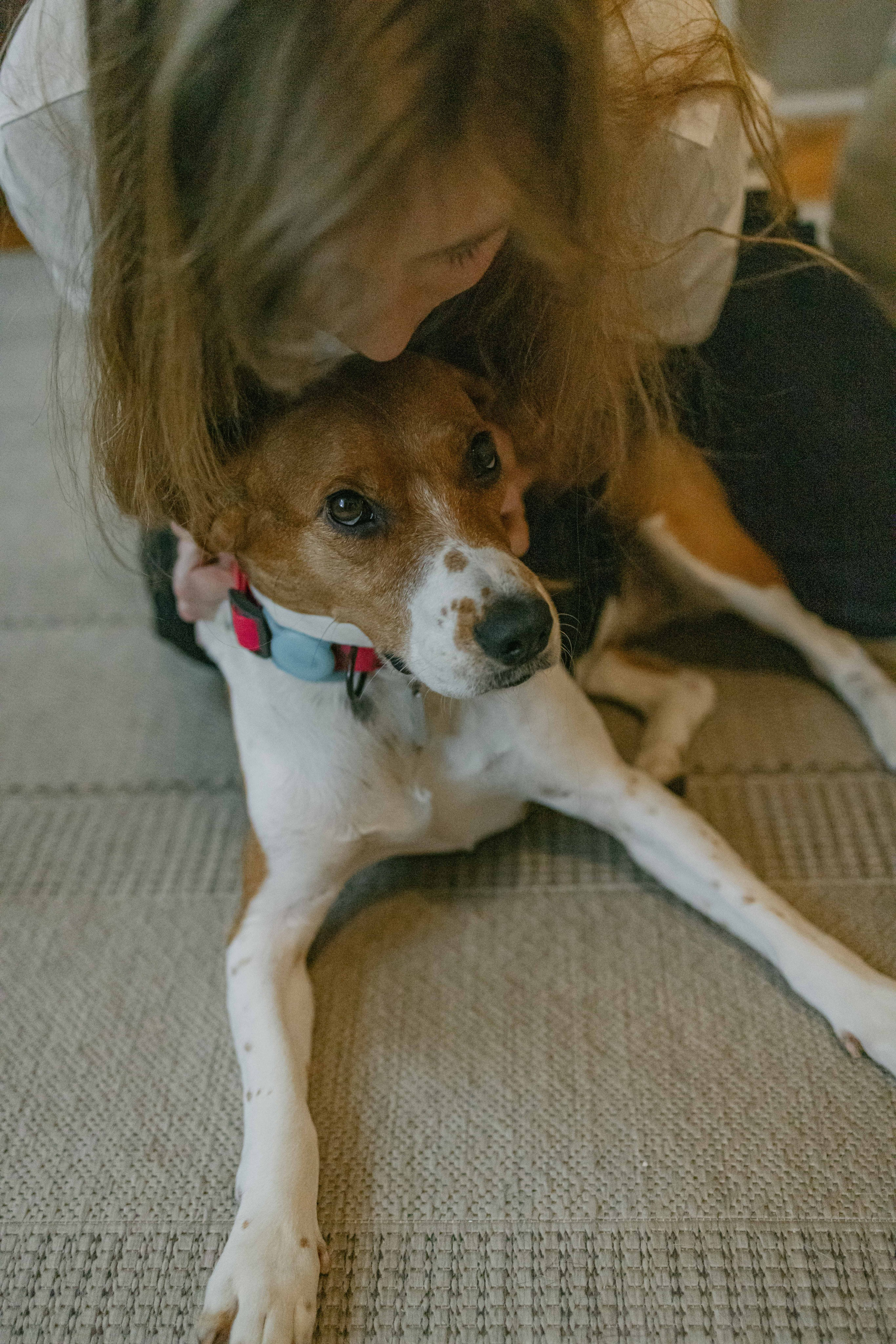 Света и Ива. Фотограф-анималист в Москве Лера Черноног