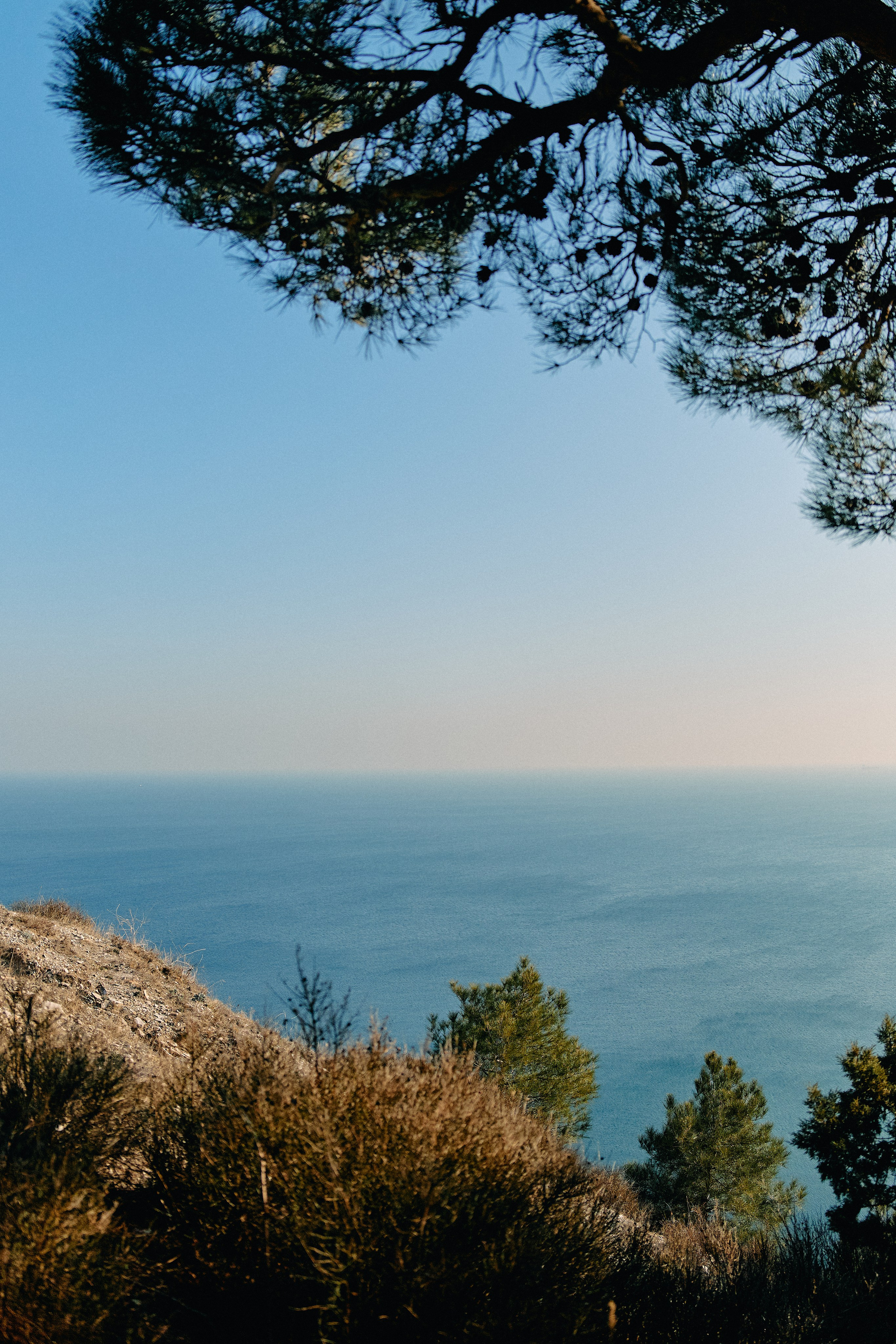 Юг России. Профессиональный Фотограф во Владимире, в Москве и в Суздале — Полина Романычева