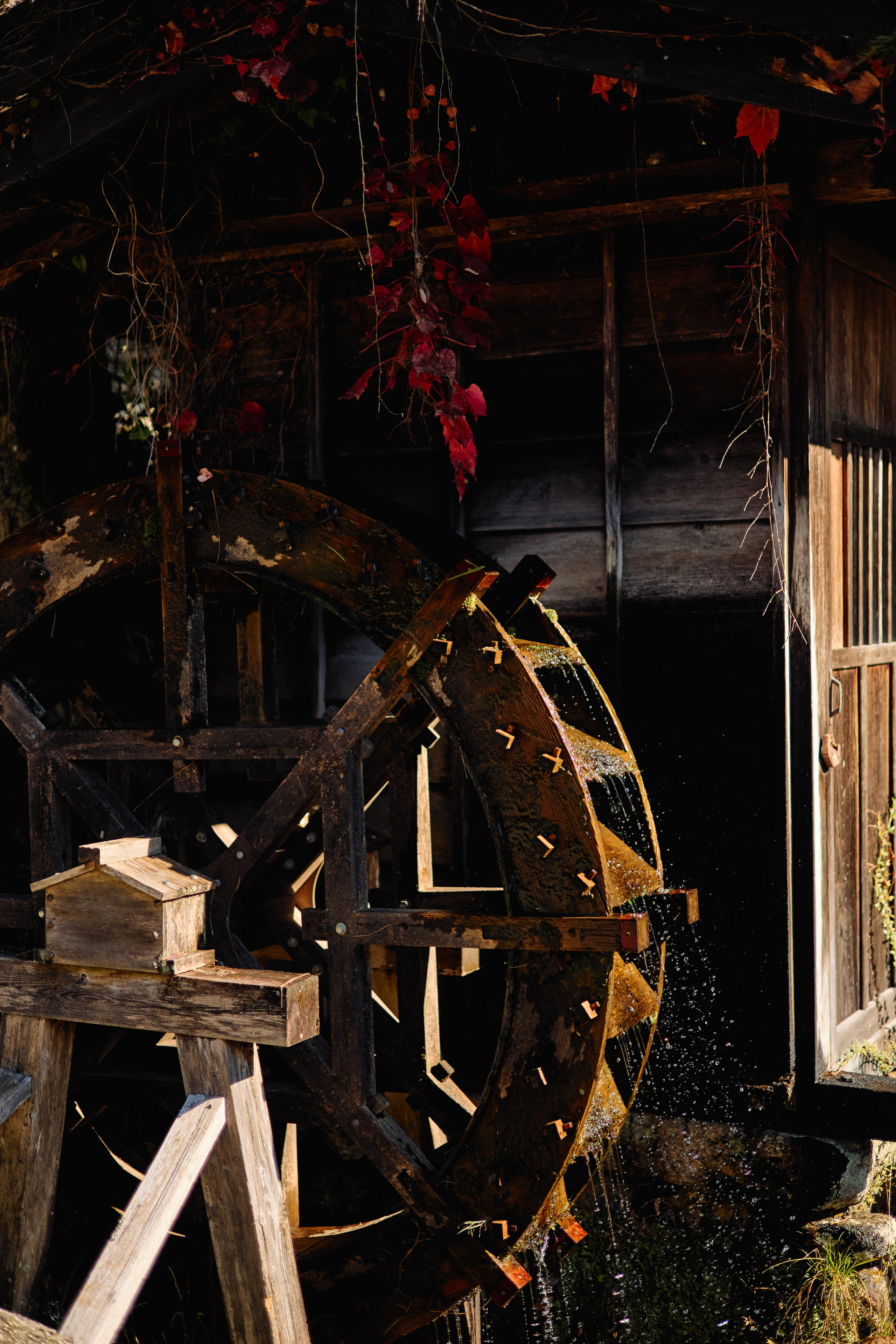 Япония. Профессиональный Фотограф во Владимире, в Москве и в Суздале — Полина Романычева