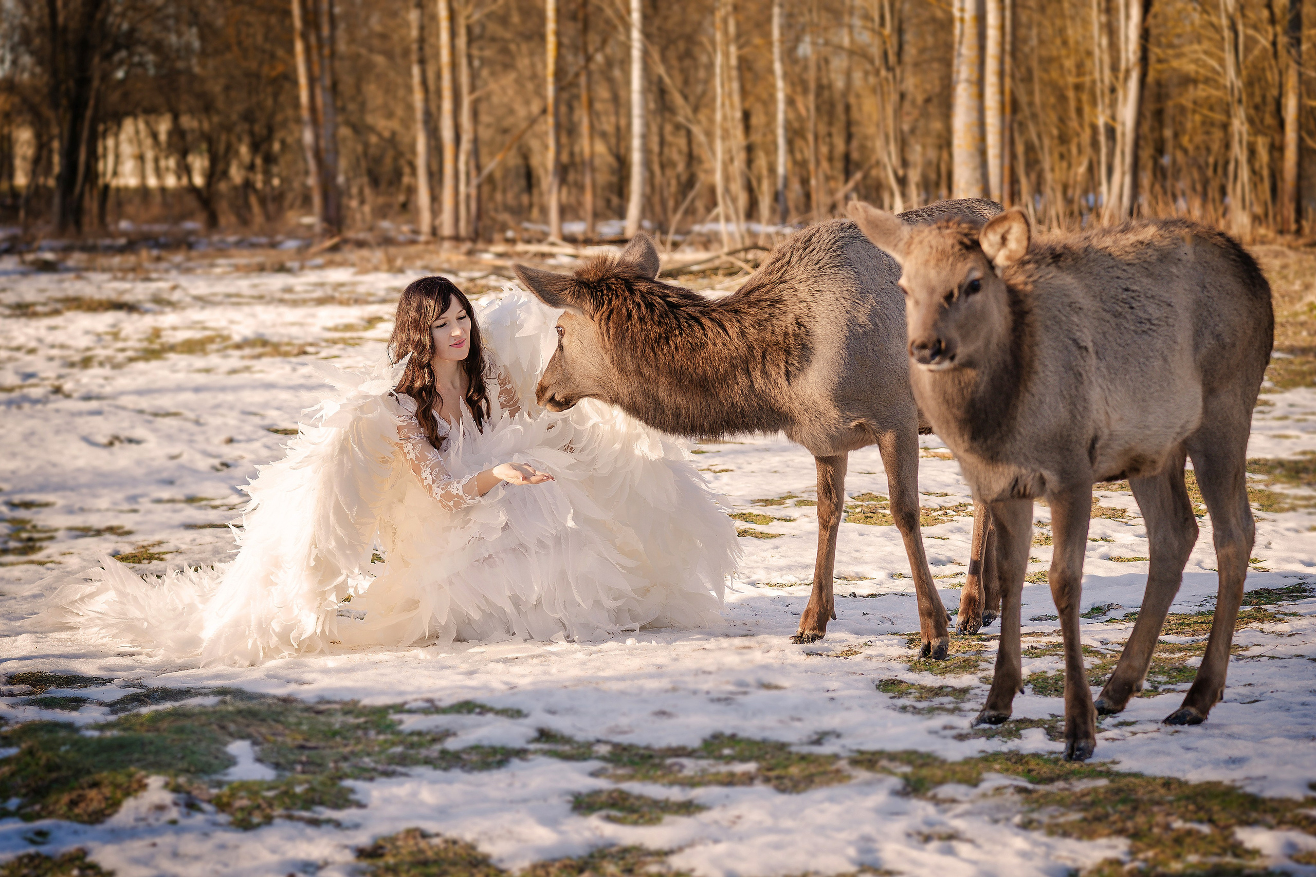 Фотосъемки с животными. Главная