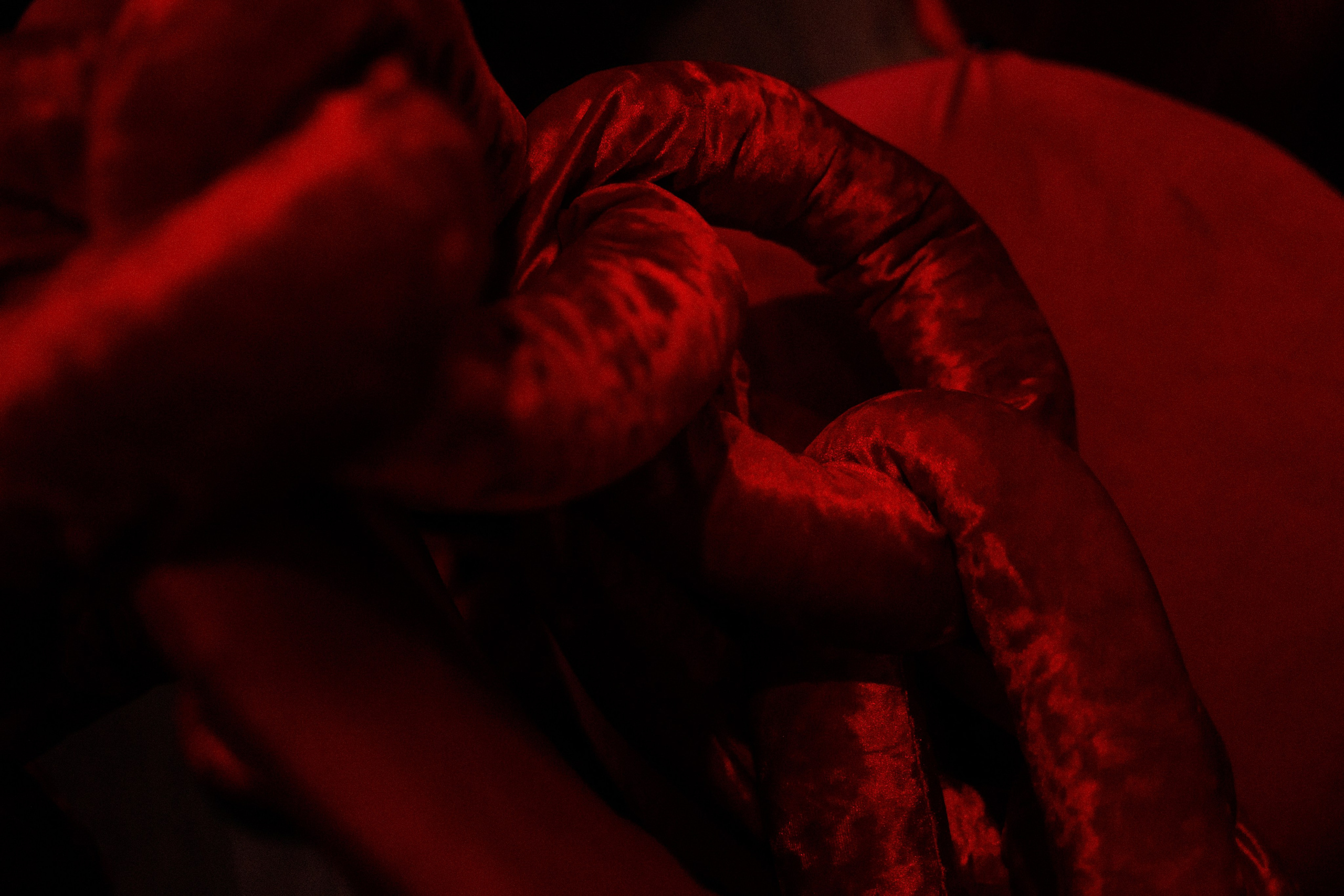 Wedding Awards Юг 2024. Свадебный и репортажный фотограф Новороссийск, Краснодар, Сочи Олеся Дзюба