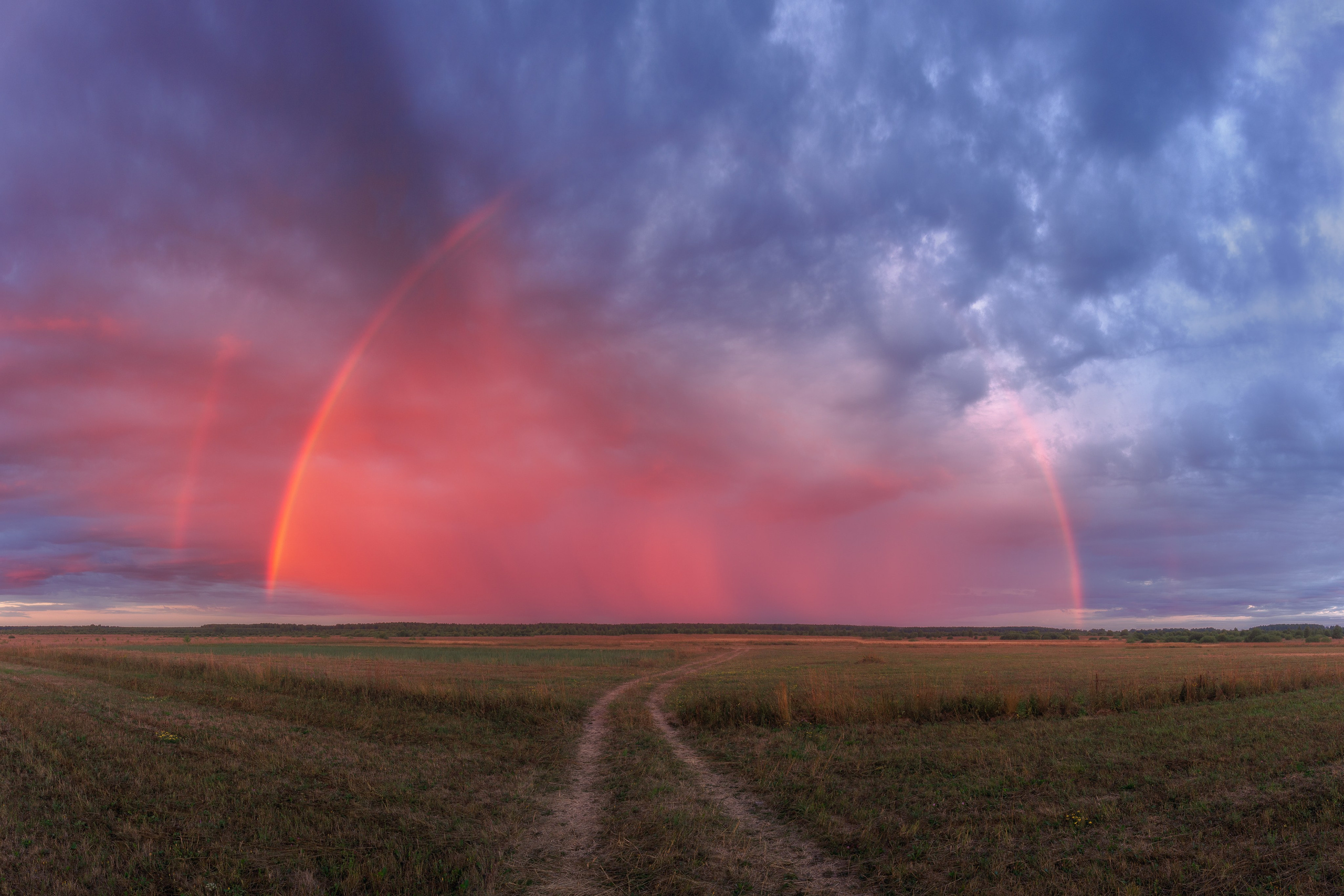 Природа (Лето). Фотограф Мартыненко Дмитрий