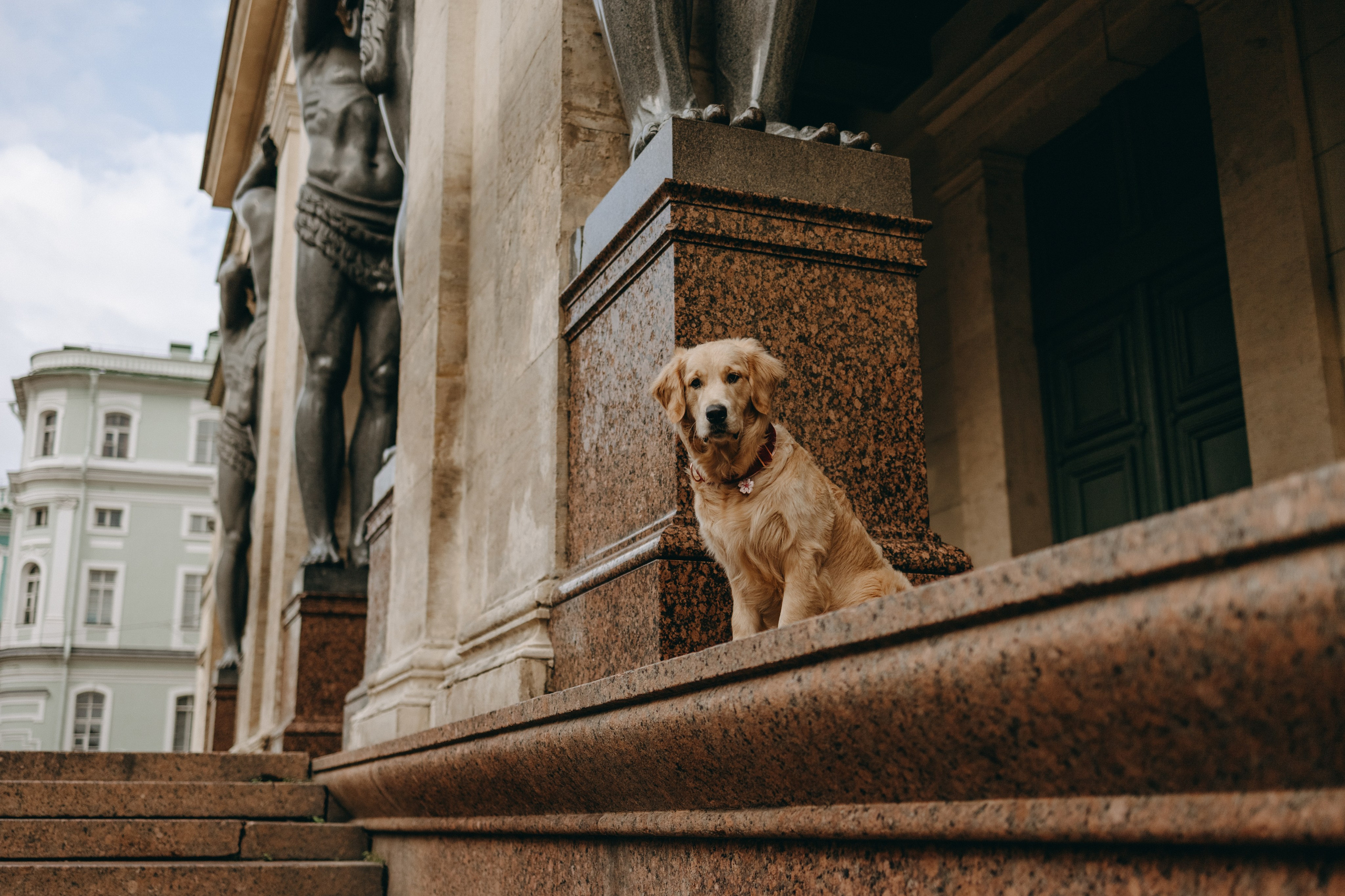 Бетти и ее семья. Фотограф — Анималист | Санкт-Петербург