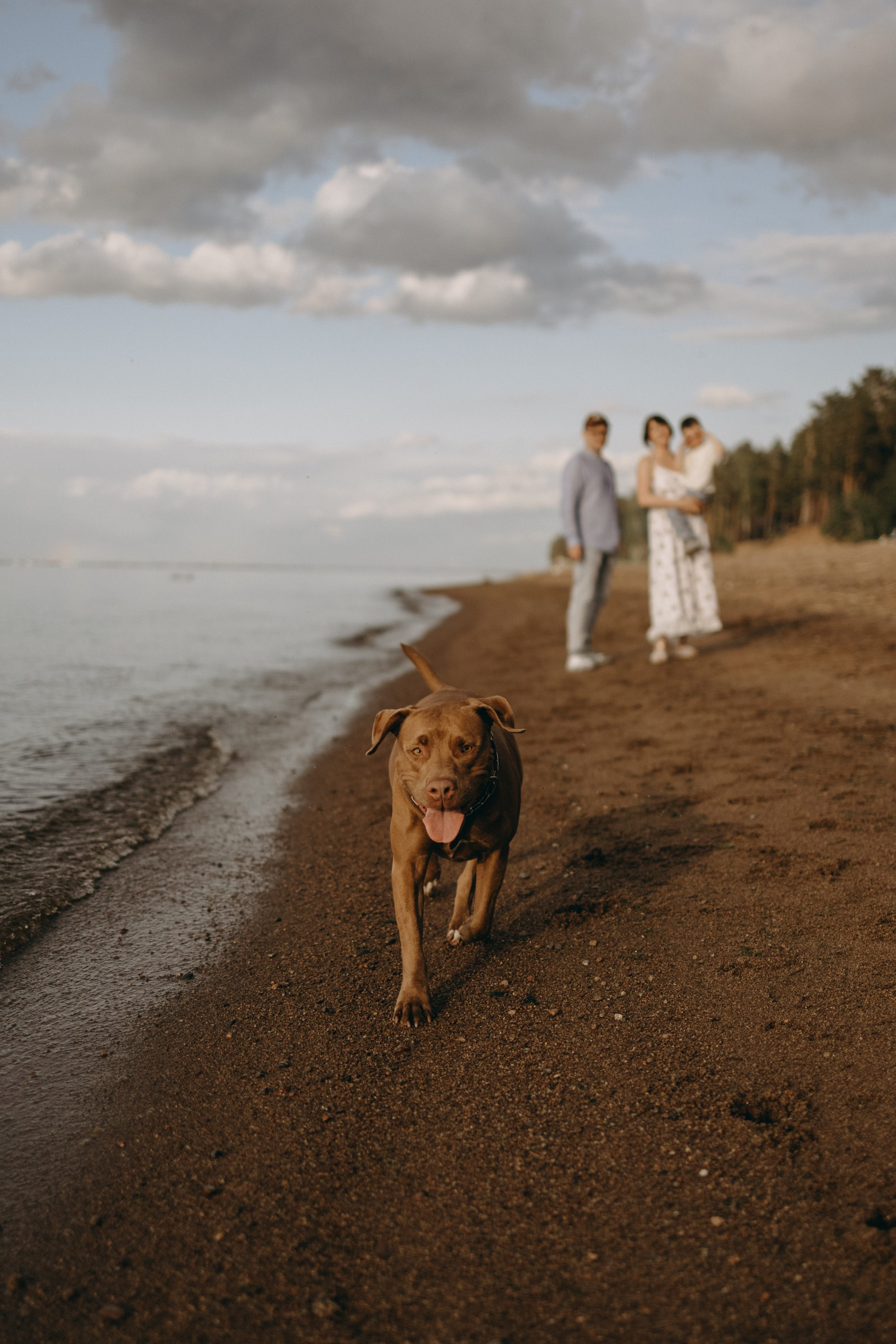 Бонни и ее семья. Фотограф — Анималист | Санкт-Петербург