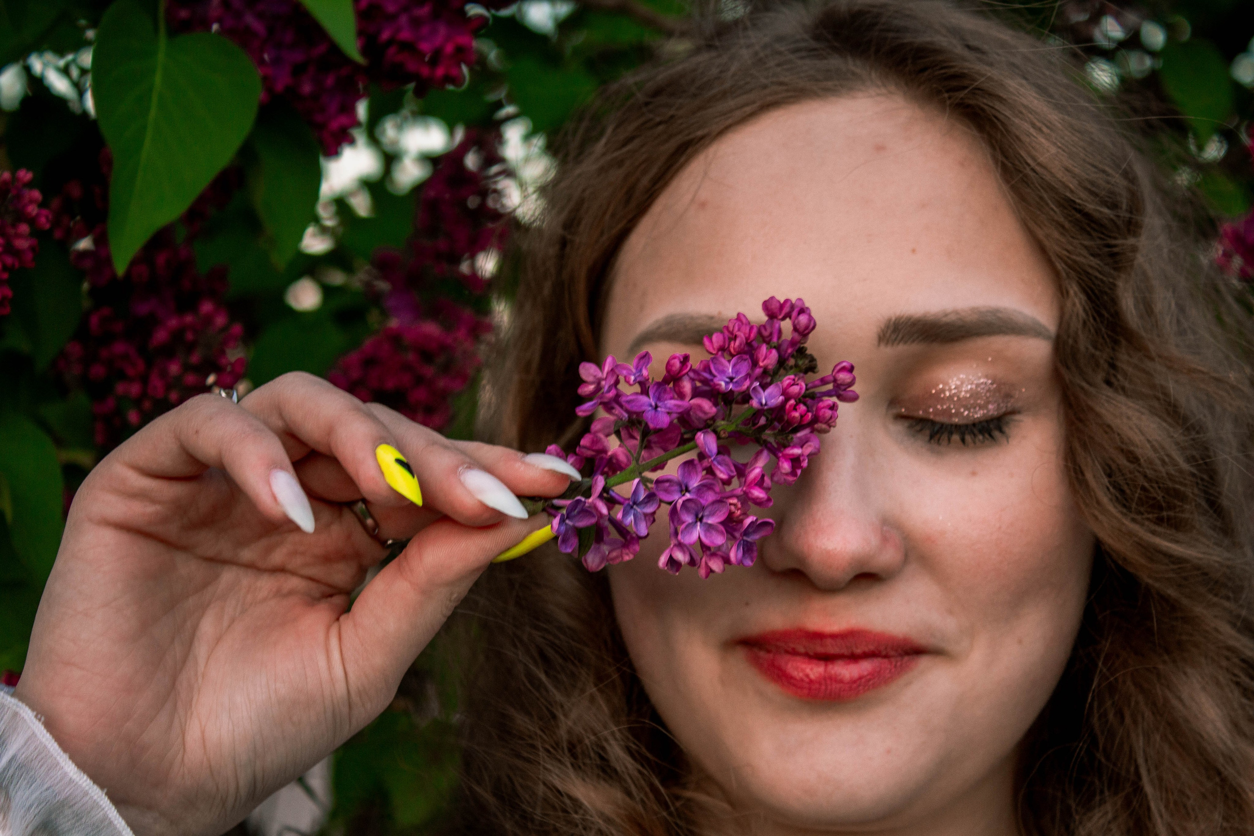 Сирень. Карпогоры, Санкт-Петербург