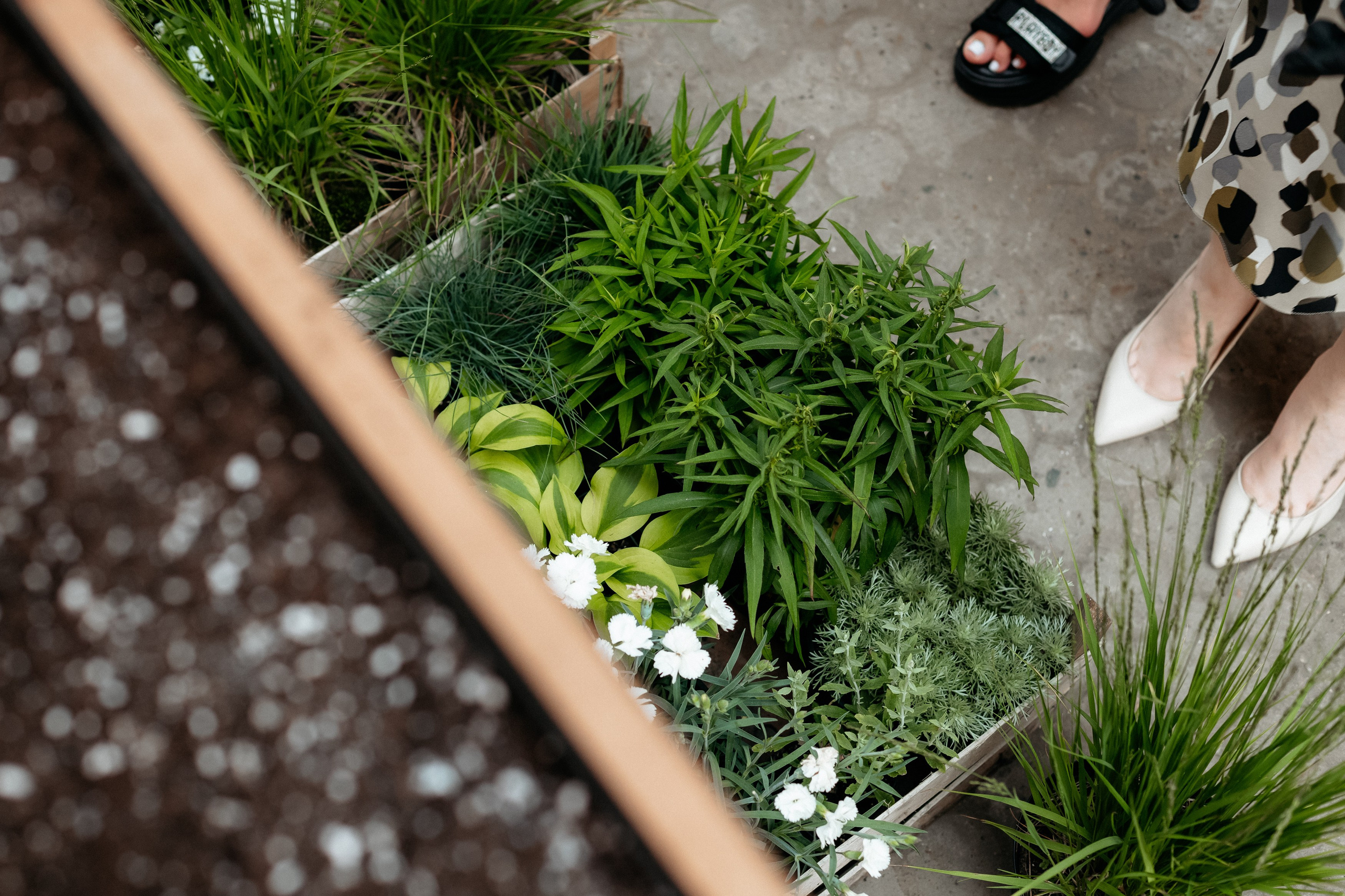 РЕСНОТА — ОТКРЫТИЕ ТЕРРАСЫ. СВОИ. ФОТООТЧЕТЫ-СОБЫТИЯ-МЕСТА